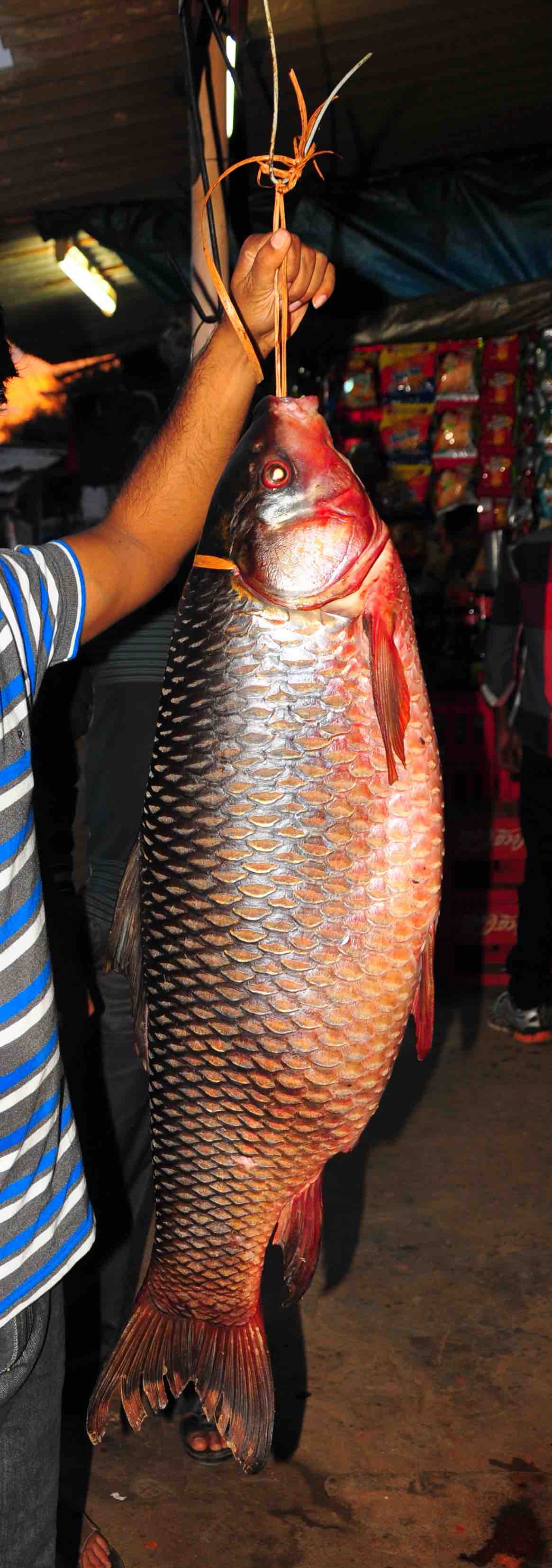 Barachukki falls fish stall, Karnataka