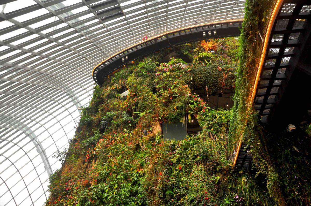 gardens by the bay cloud forest