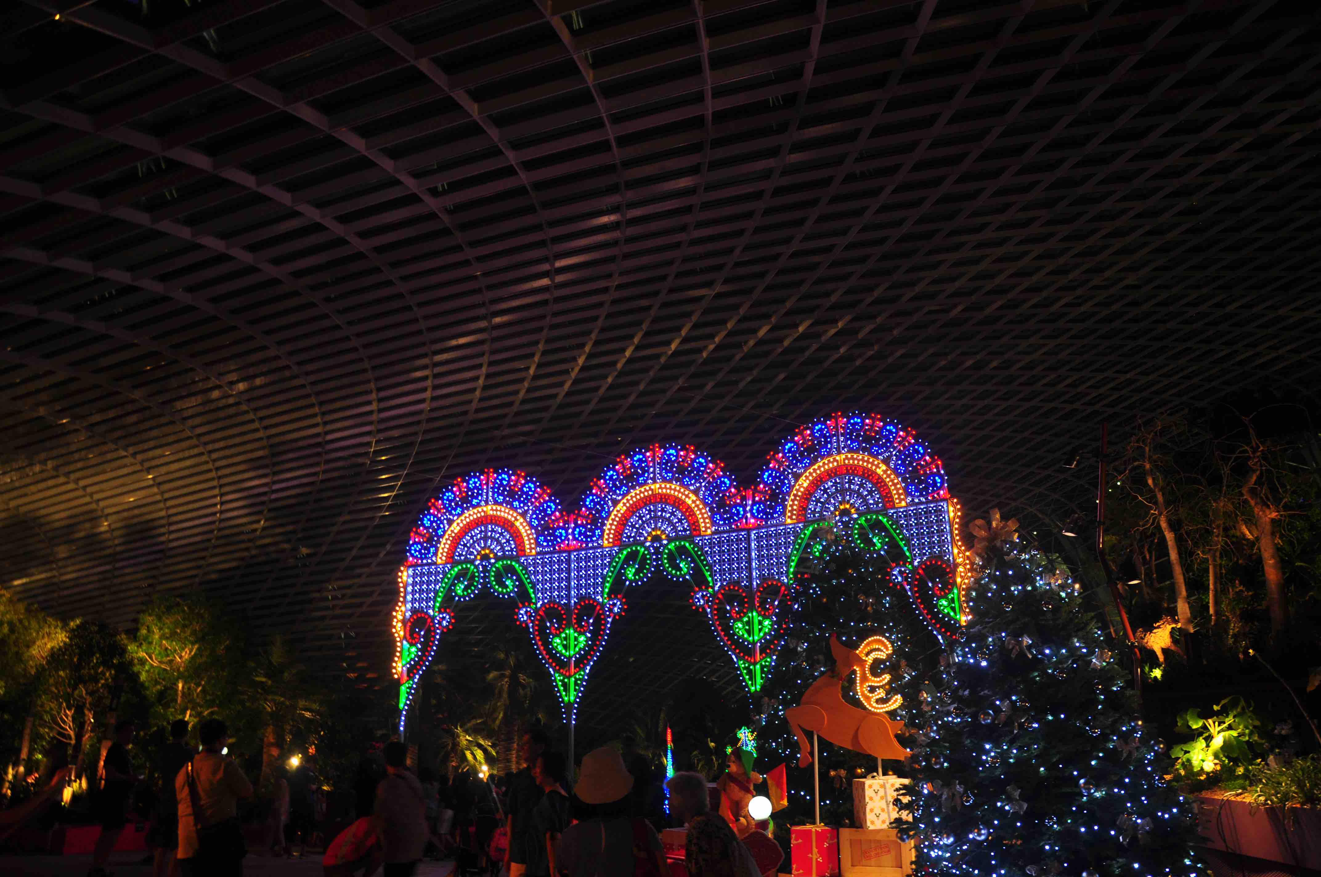 gardens by the bay at night