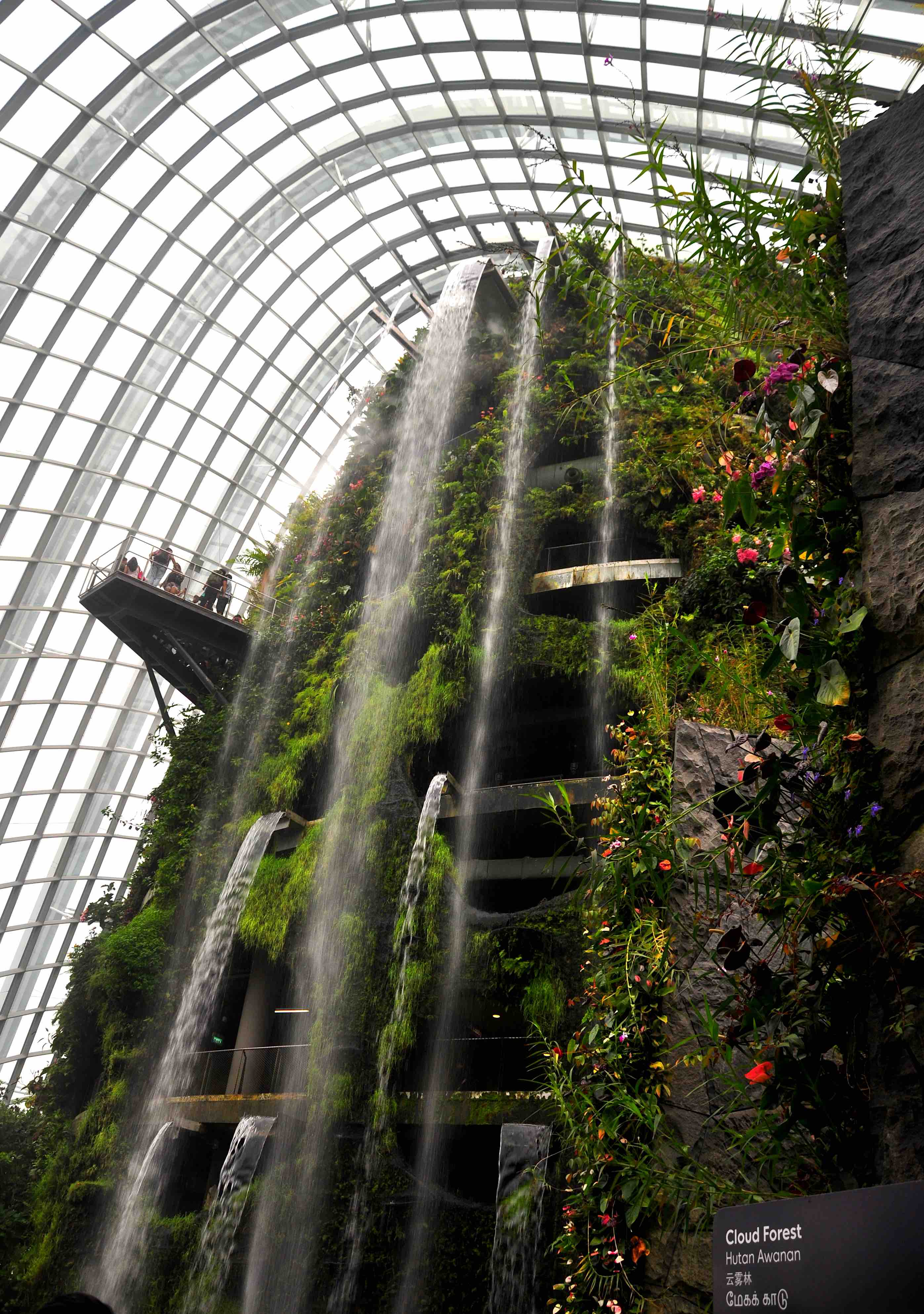 gardens by the bay cloud forest