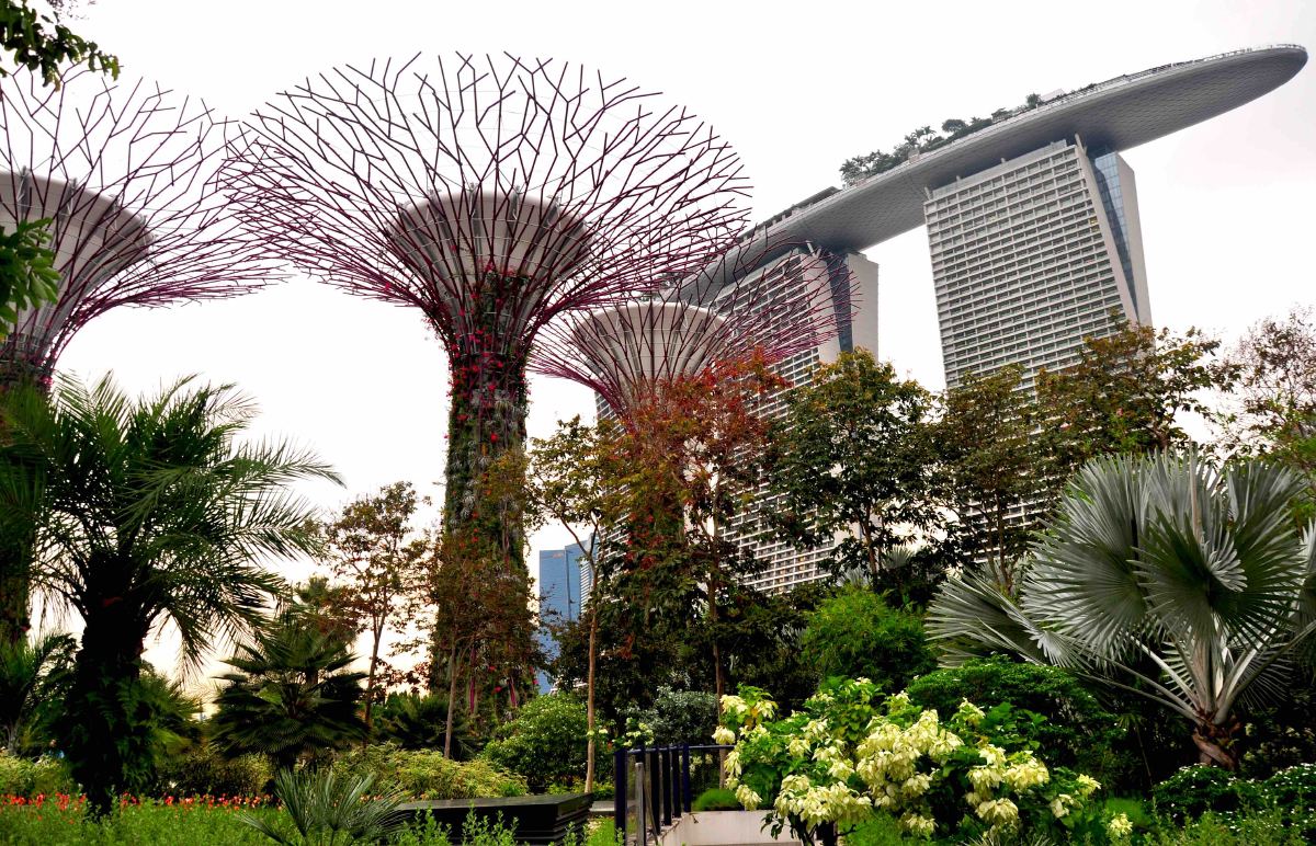 gardens by the bay supertrees