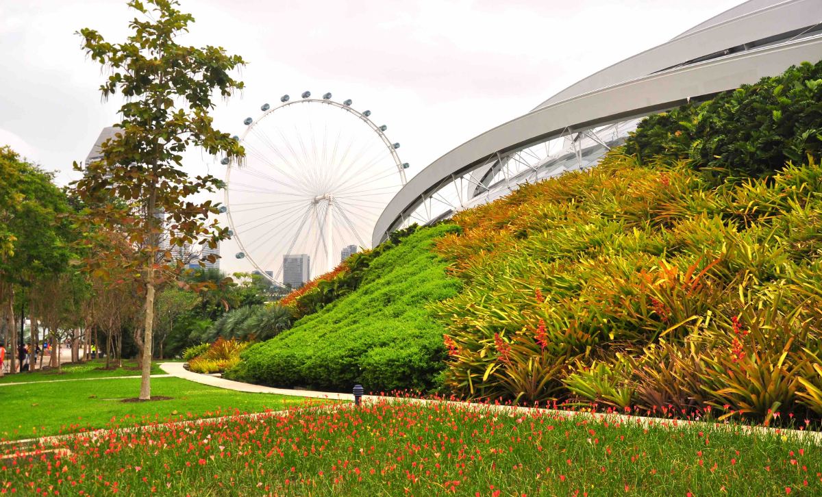 singapore flyer from gardens
