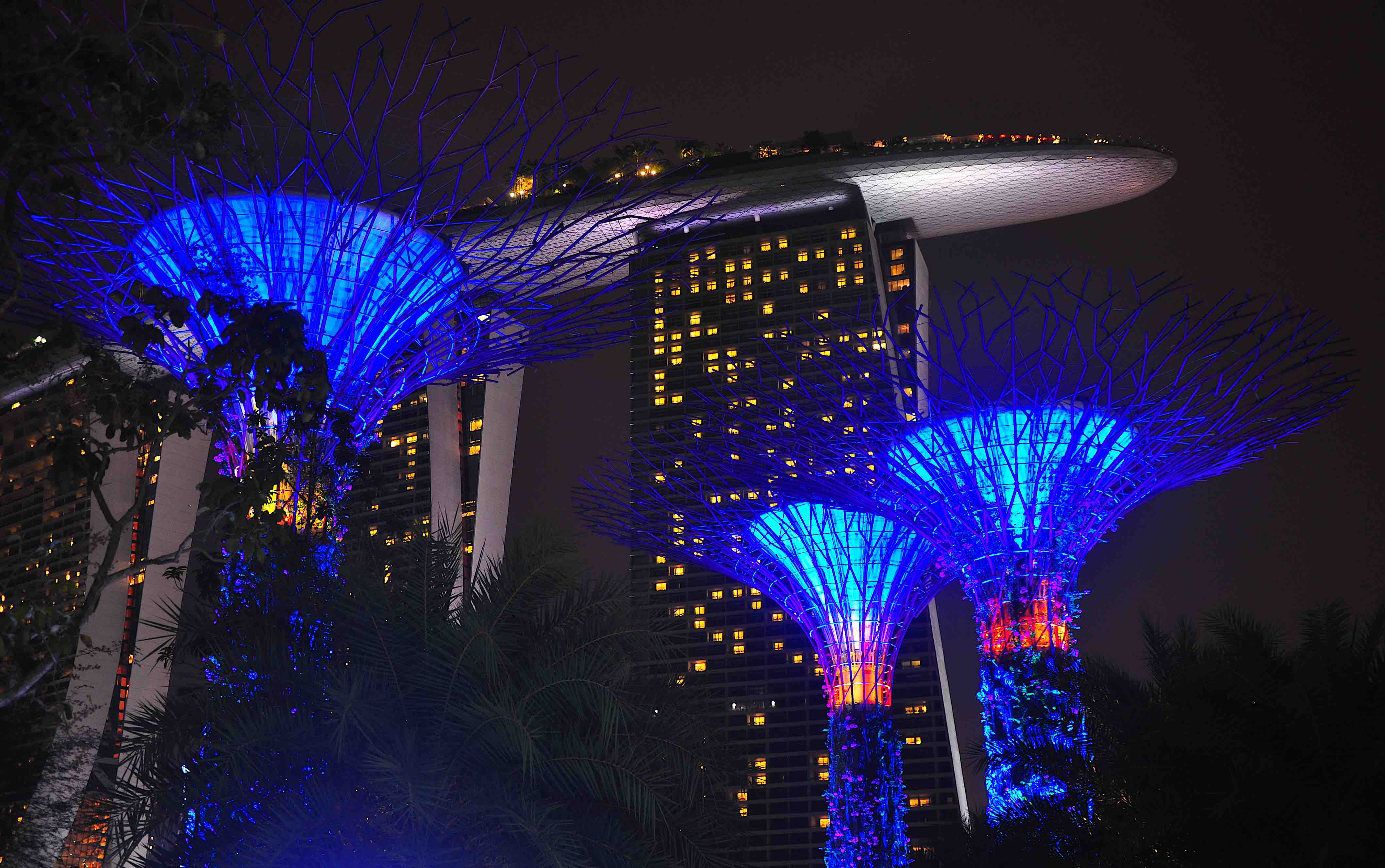 gardens by the bay supertrees at night