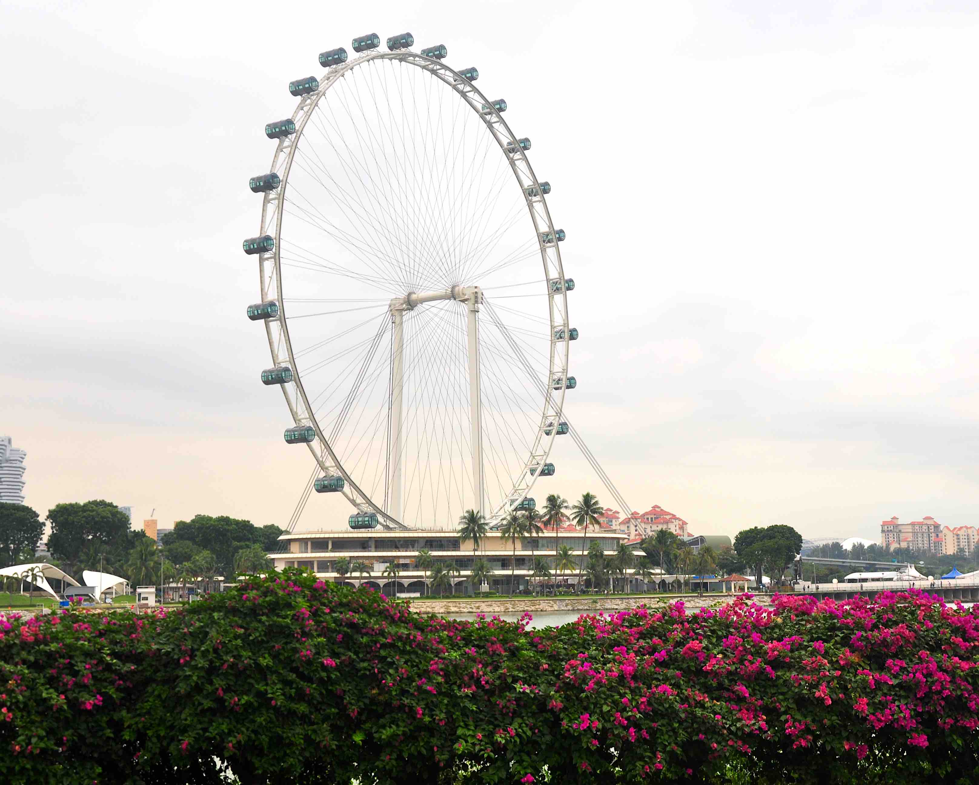 Singapore flyer