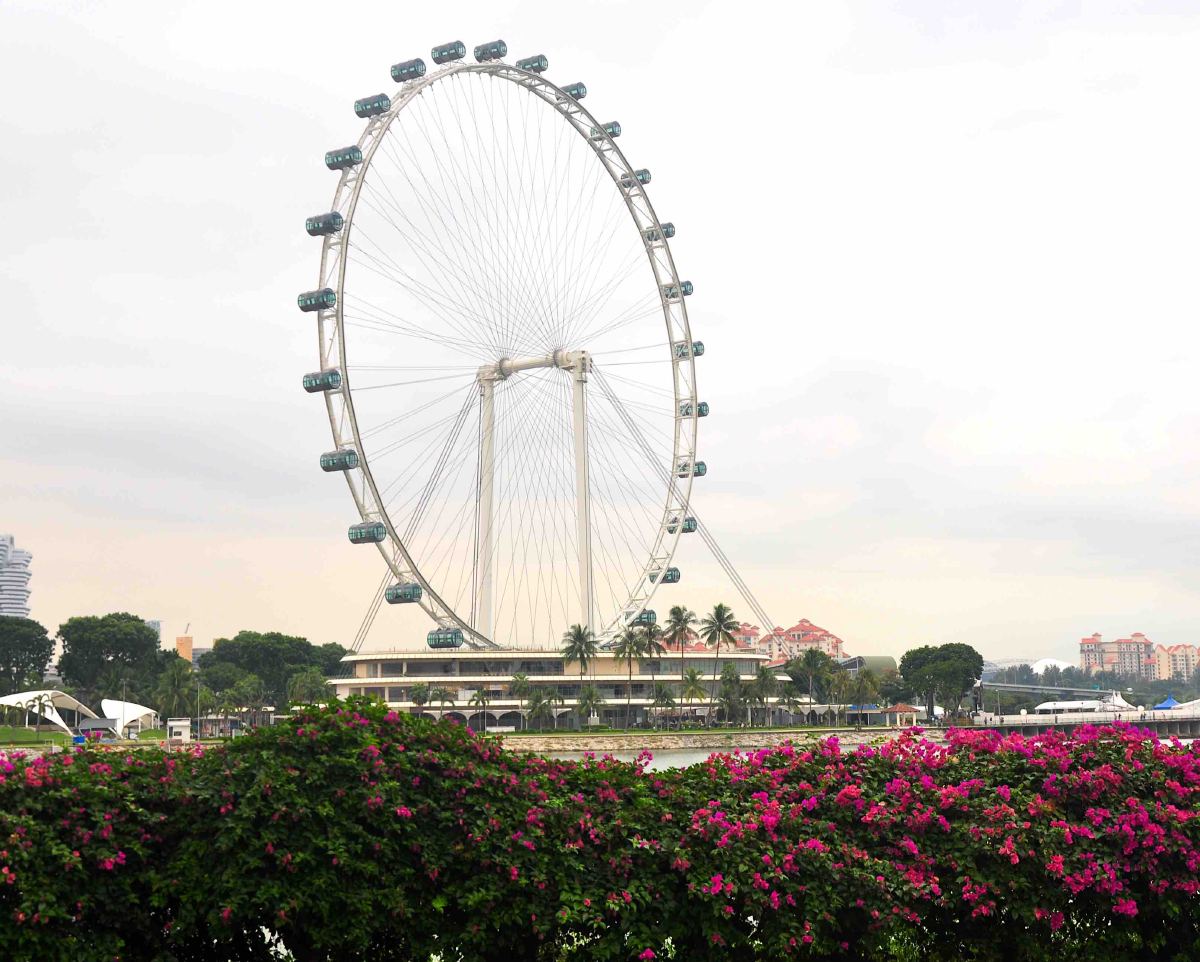 Singapore flyer