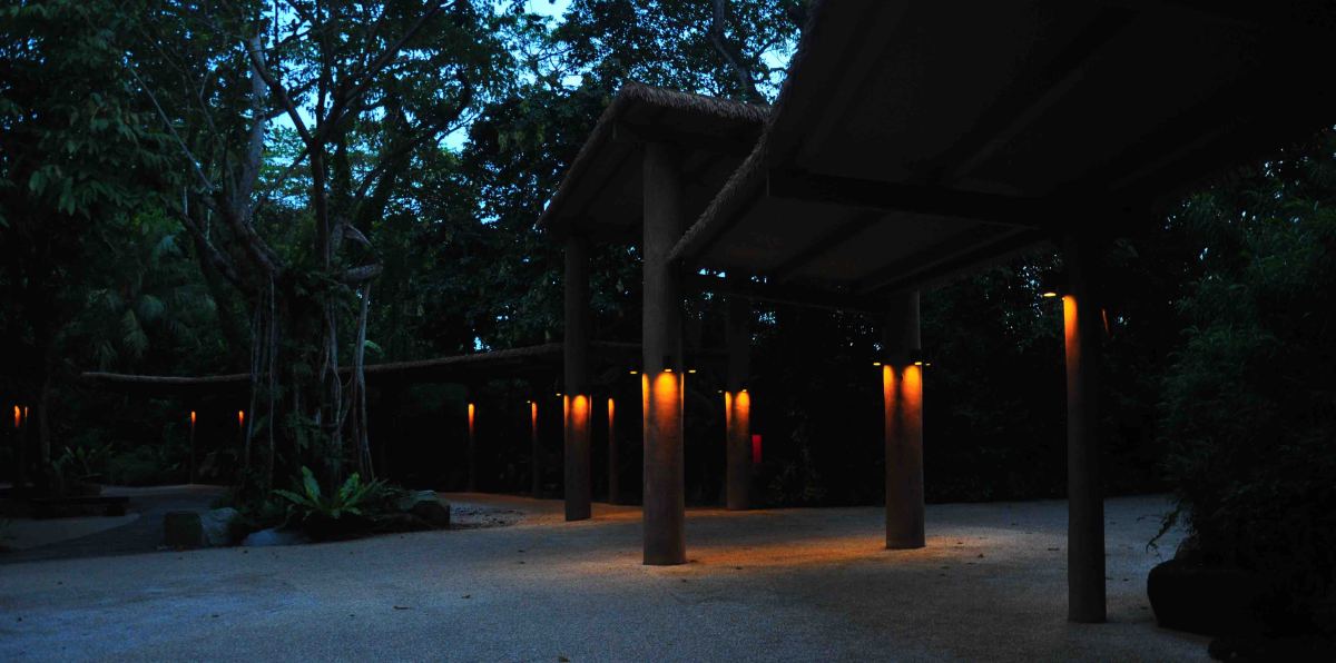 singapore zoo night