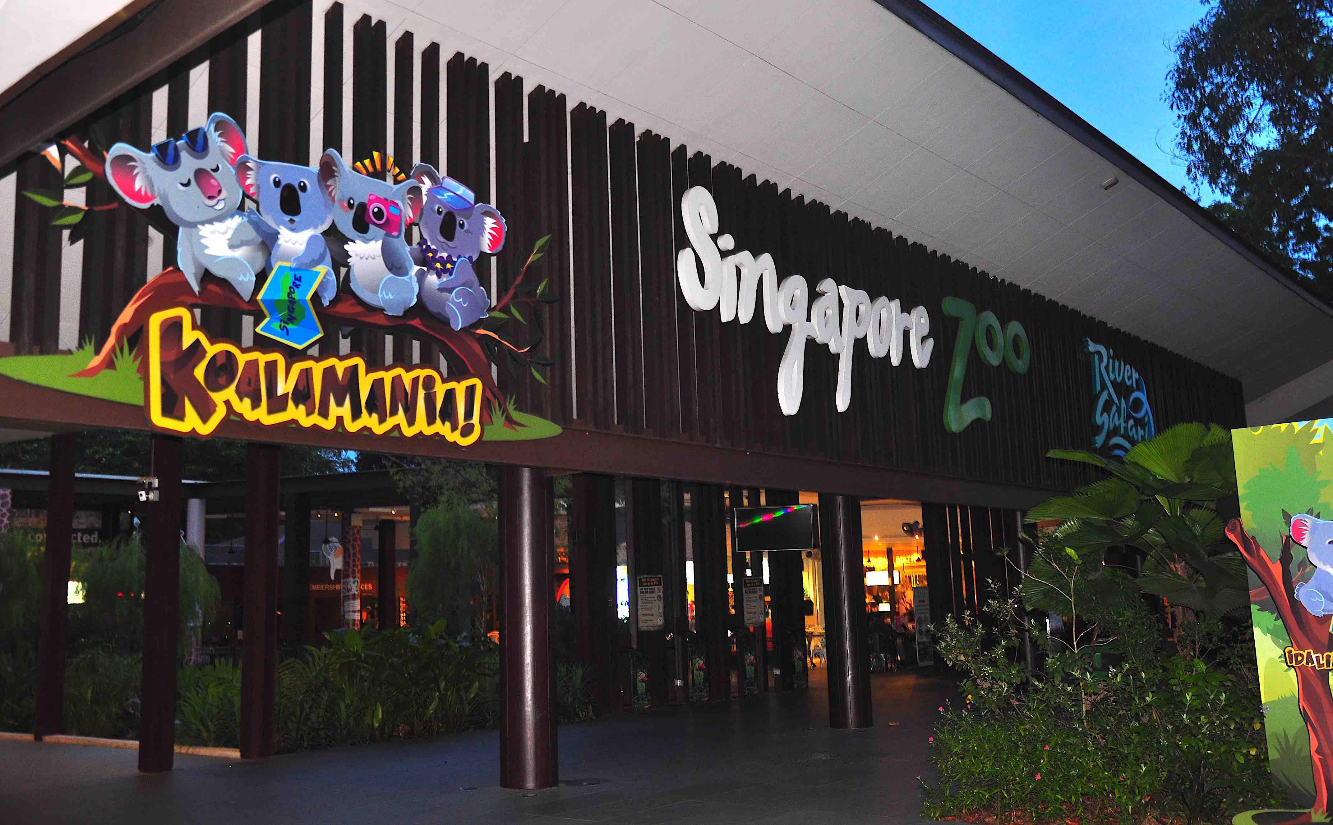 Singapore zoo and night safari