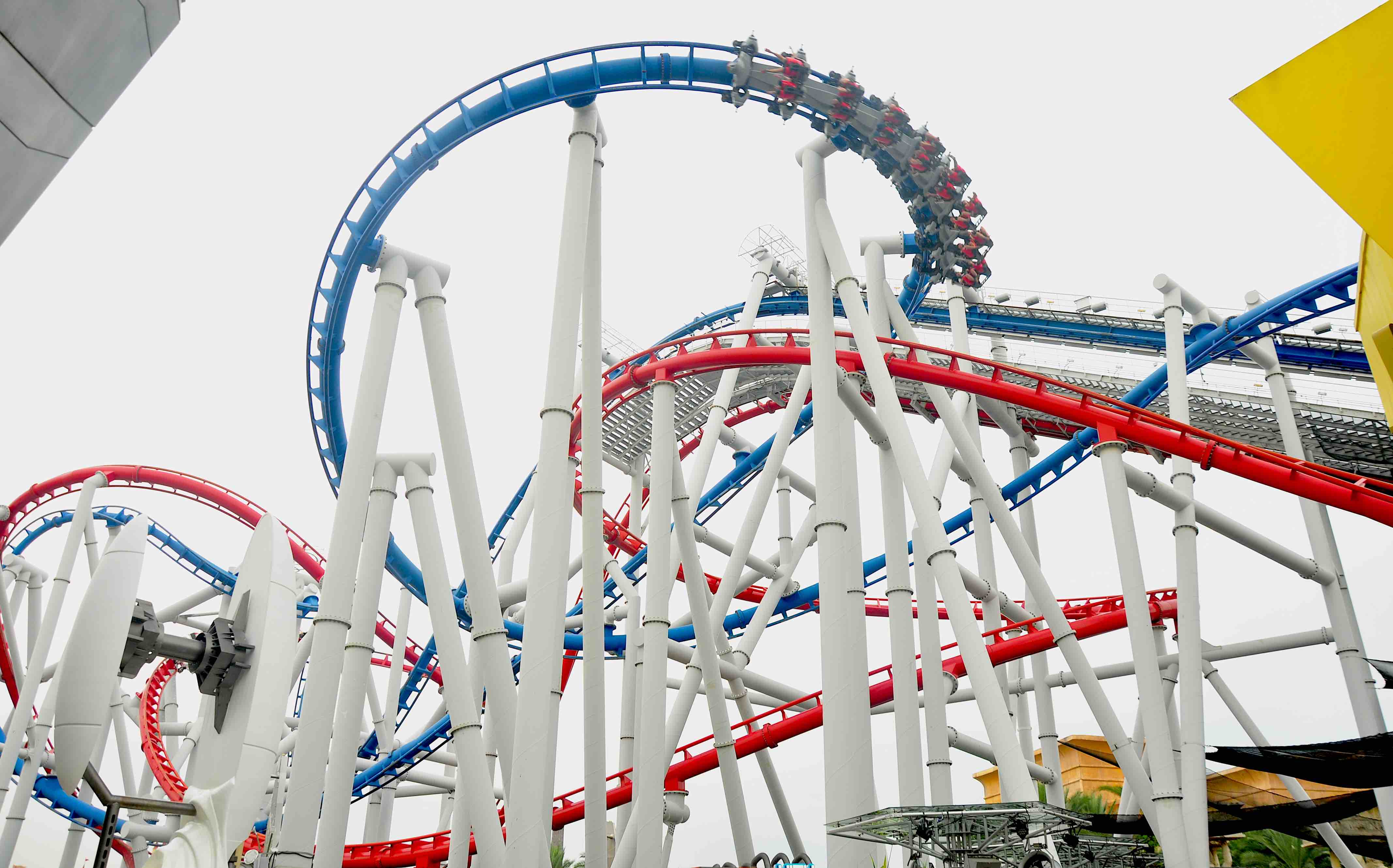 Jurong bird park flamingos