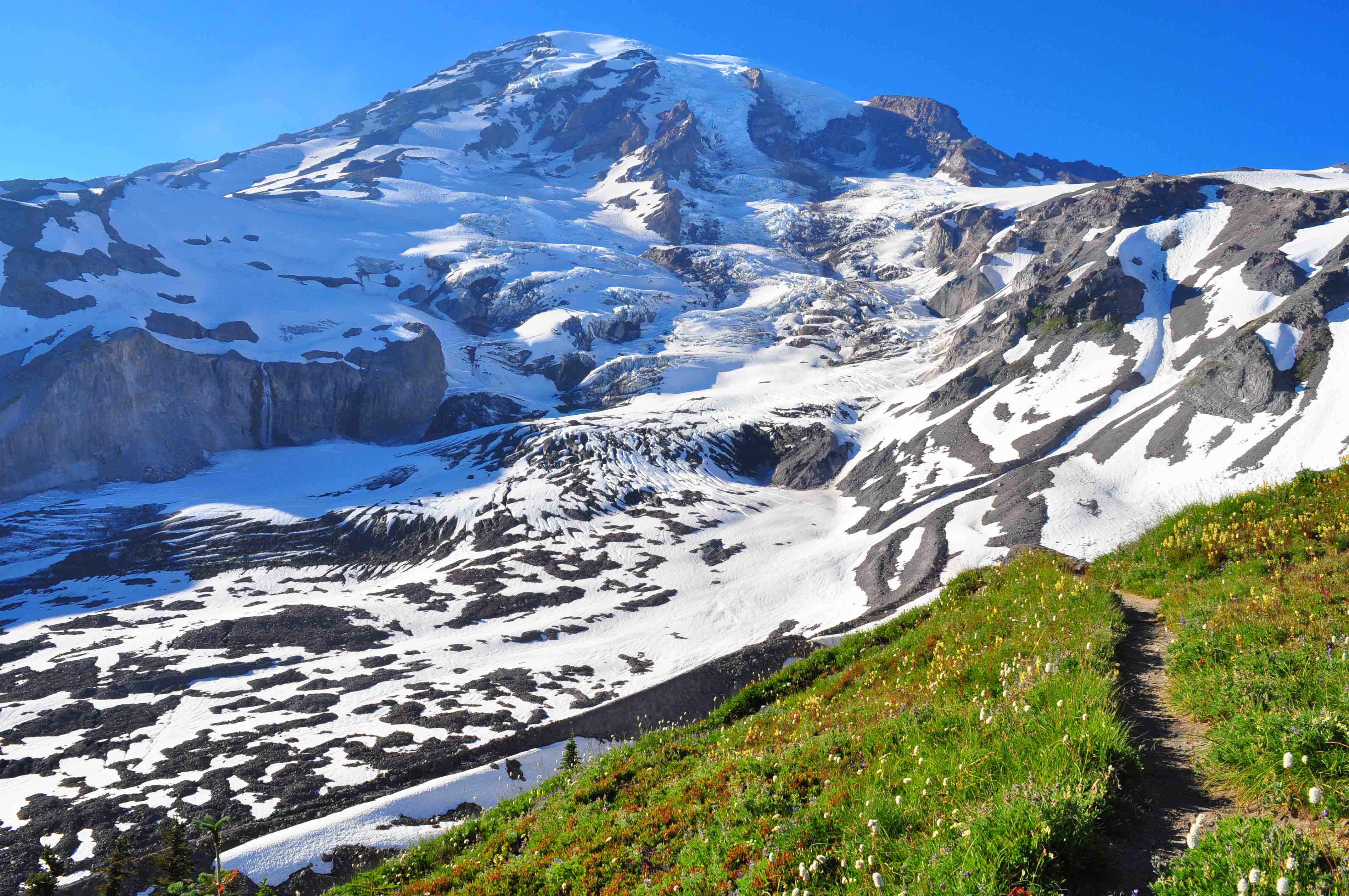Panorama trail paradise area, Mt rainier national park