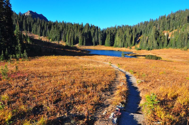 Alpine meadows on Naches Peak Loop Trail