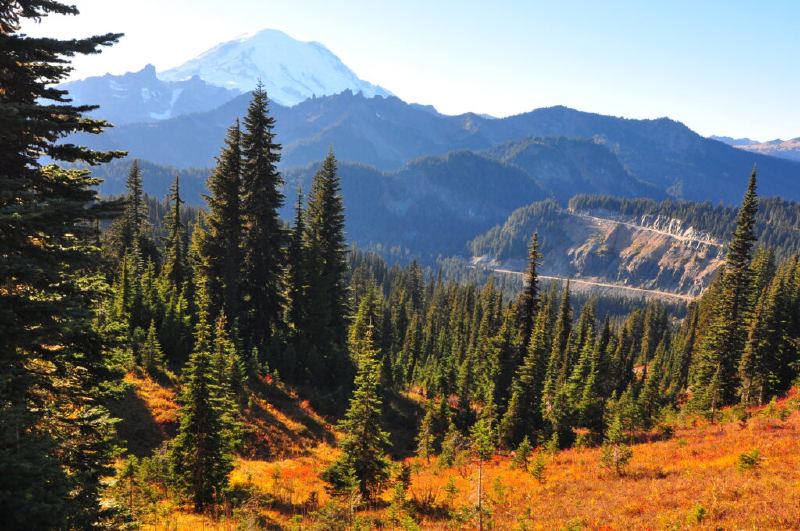 Mt Rainier and fall colors on Naches Peak Loop