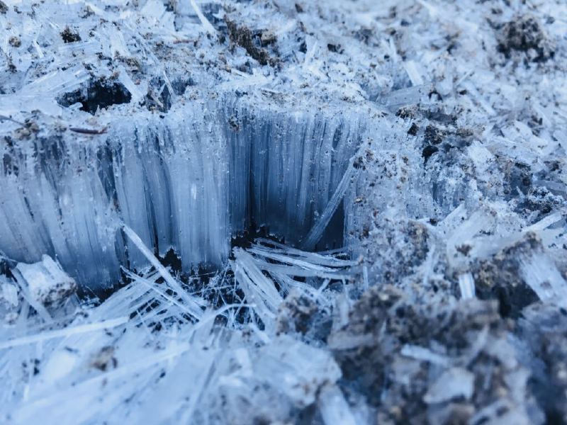 Permafrost on Naches Peak Loop Trail