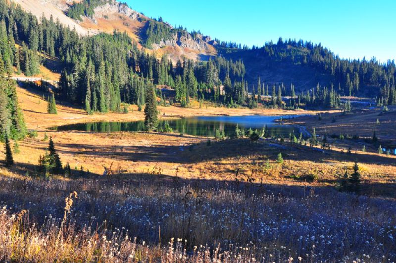 Tipsoo Lake with Mt Rainier