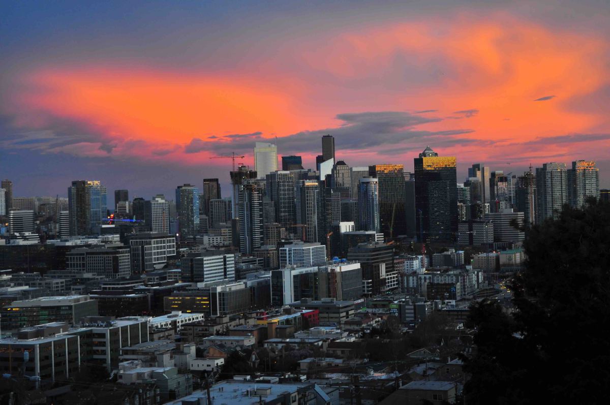 Seattle Bhy Kracke