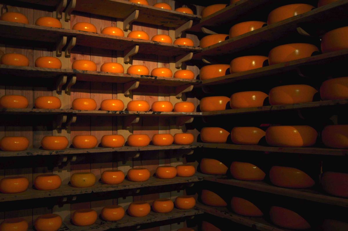 Amsterdam Zaanse Schans Cheese shop
