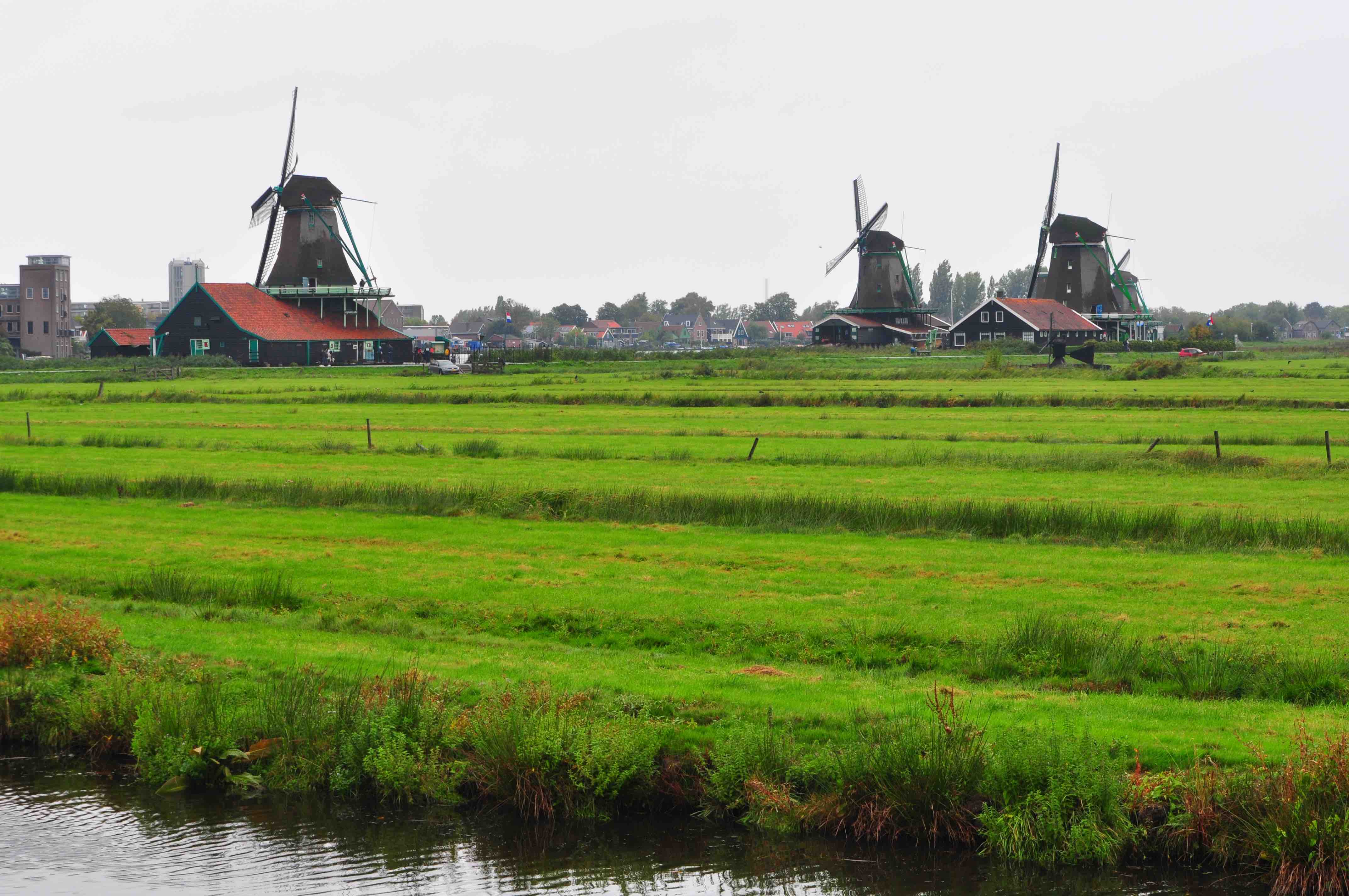 Zaanse Schans Rain