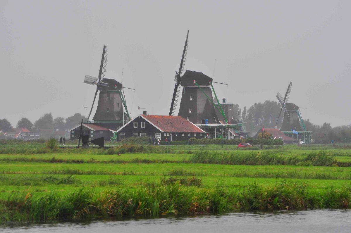 Zaanse Schans Rain