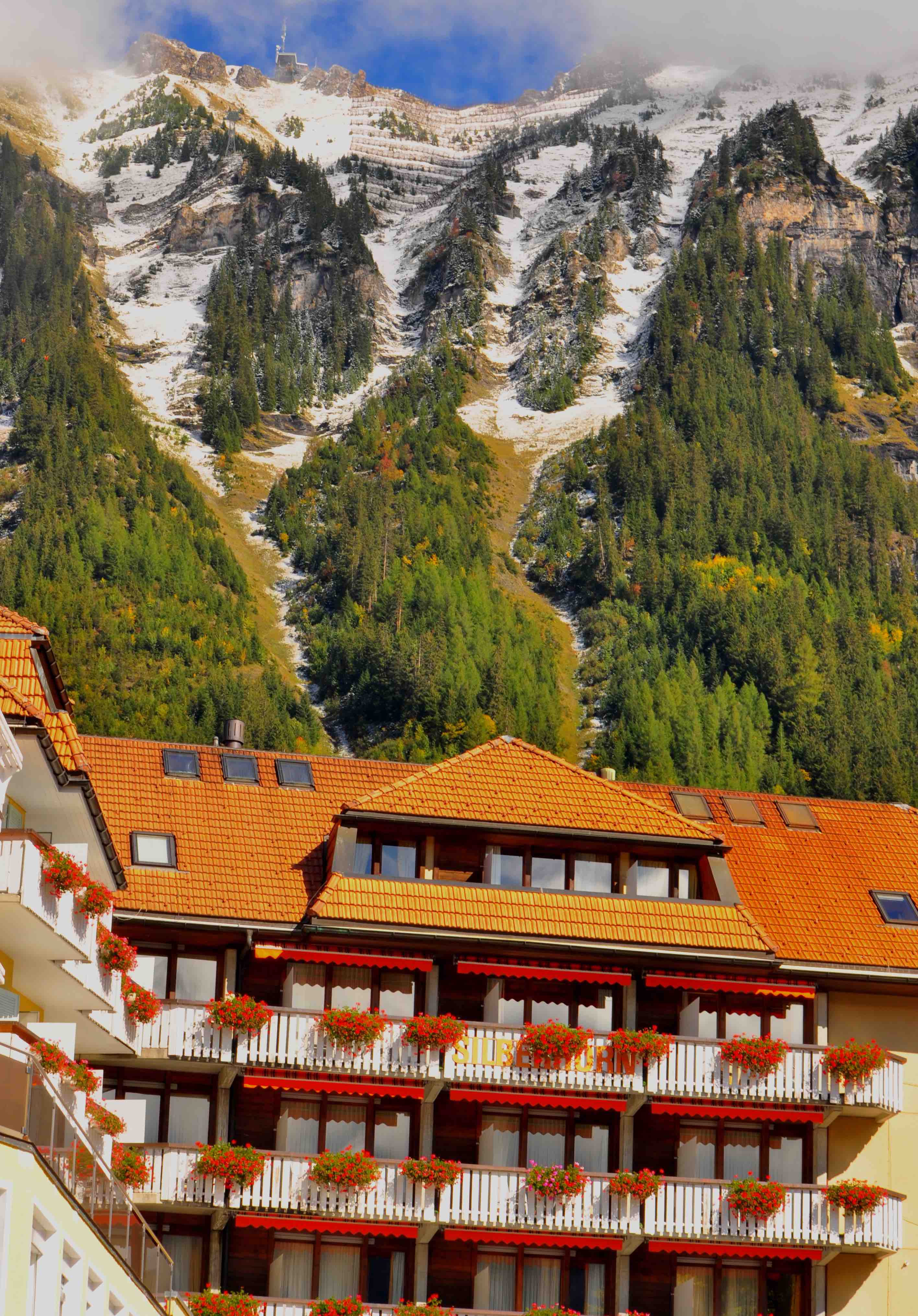 Alps surrounding wengen village