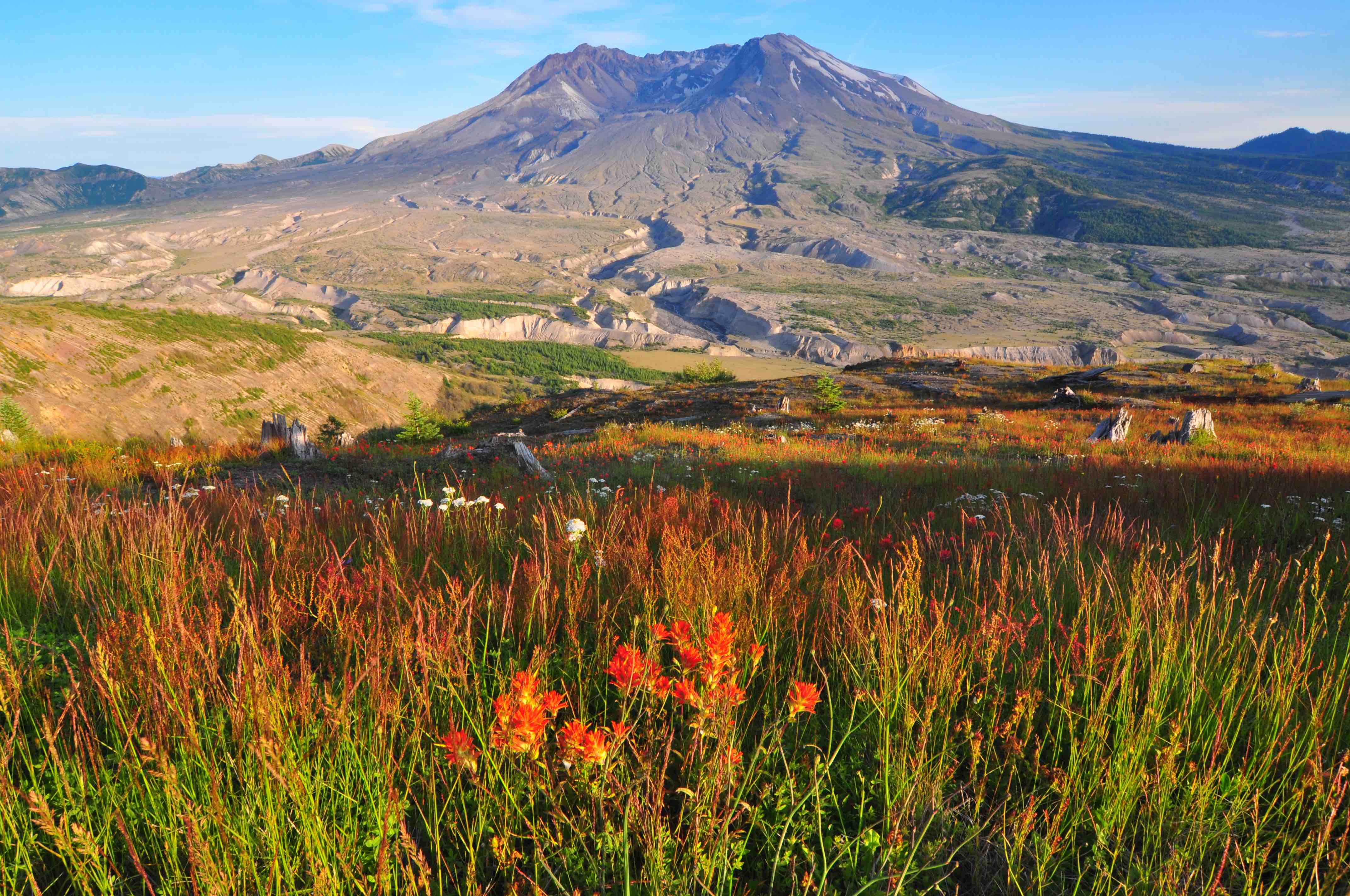 Mt st helens, Johnston observatory