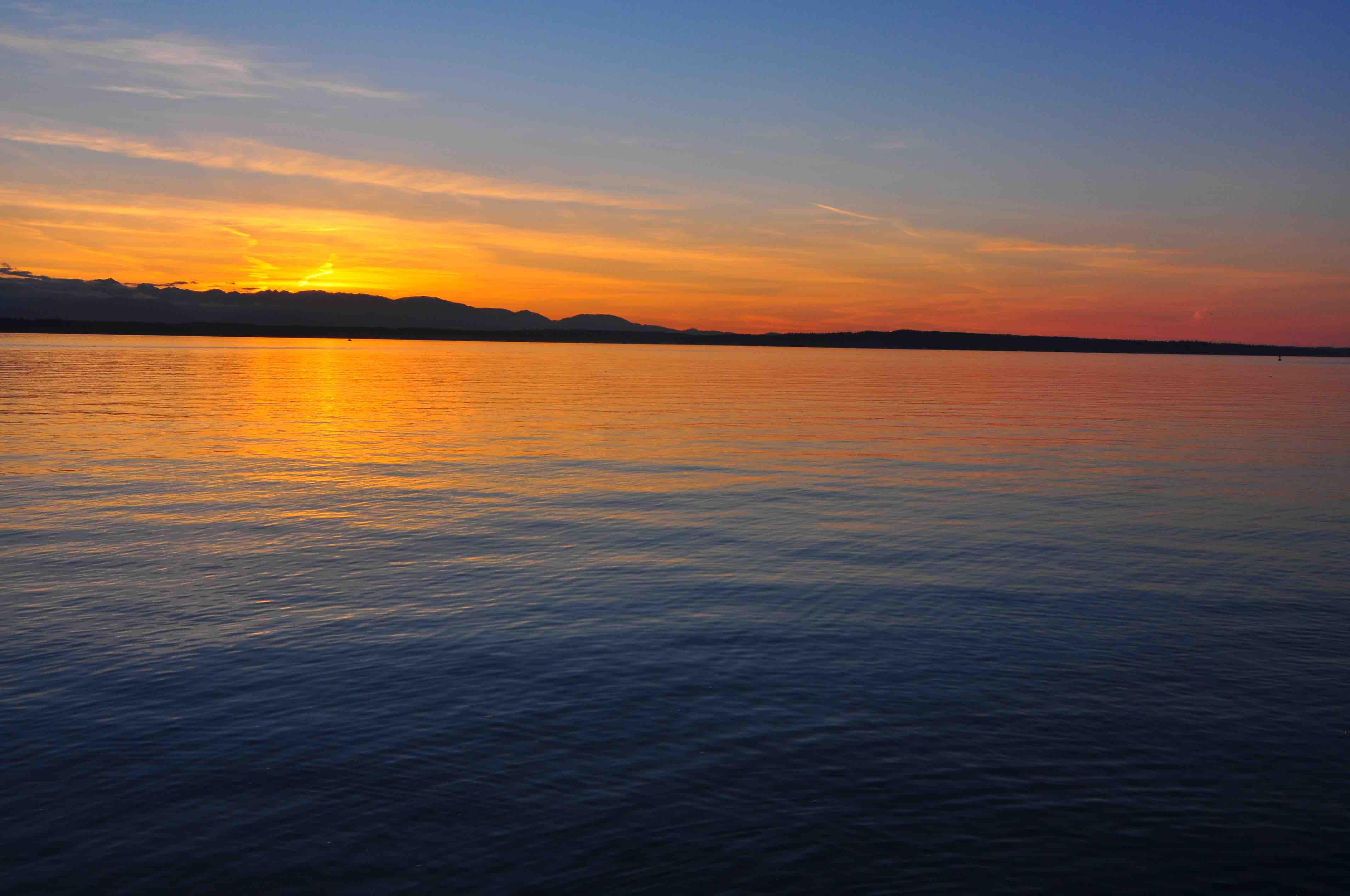 Seattle Golden rock balancing
