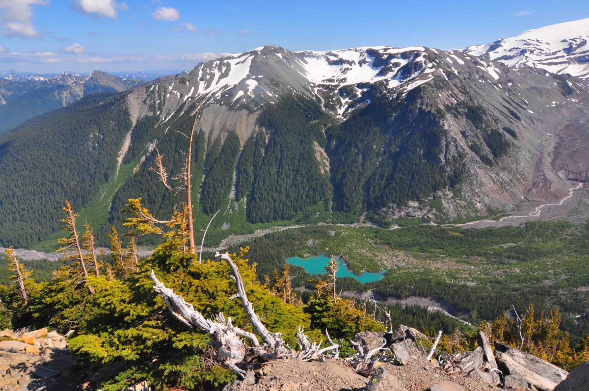 Goat mountain view