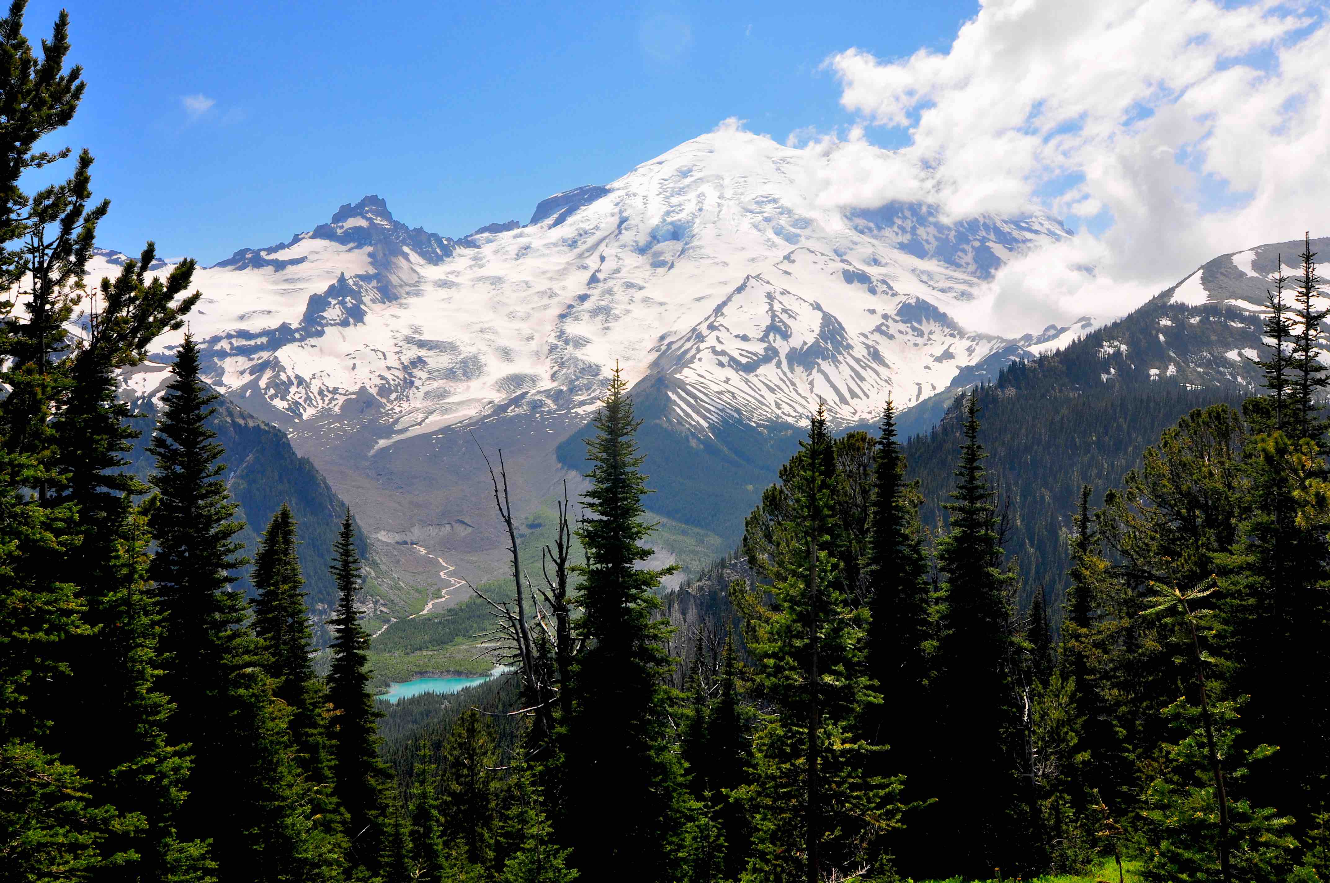 Initial views of Mt Rainier