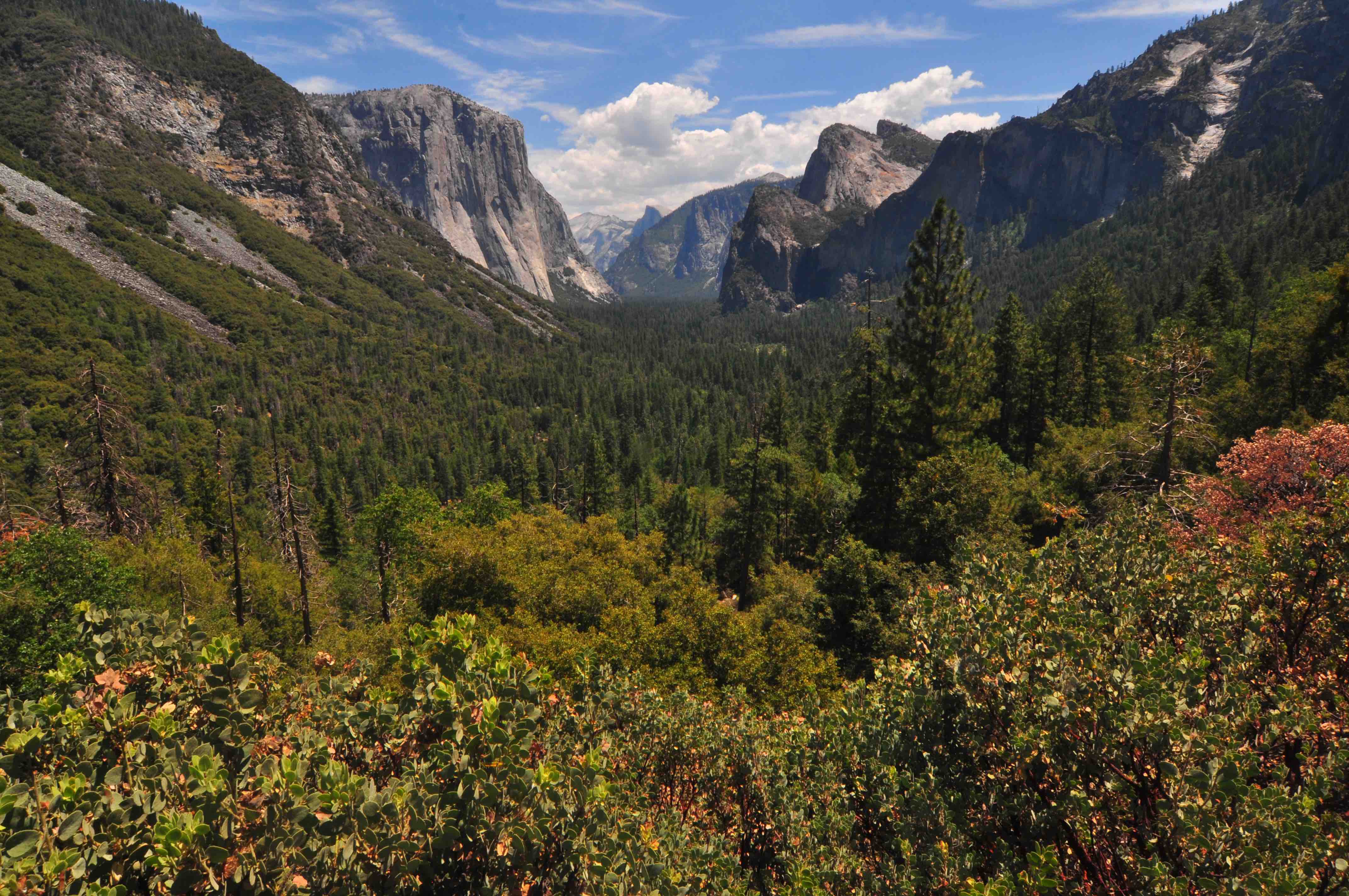 Yosemite Tunnel View