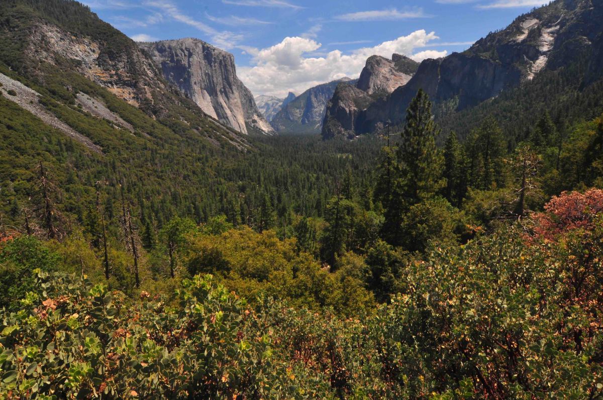 Yosemite Tunnel View