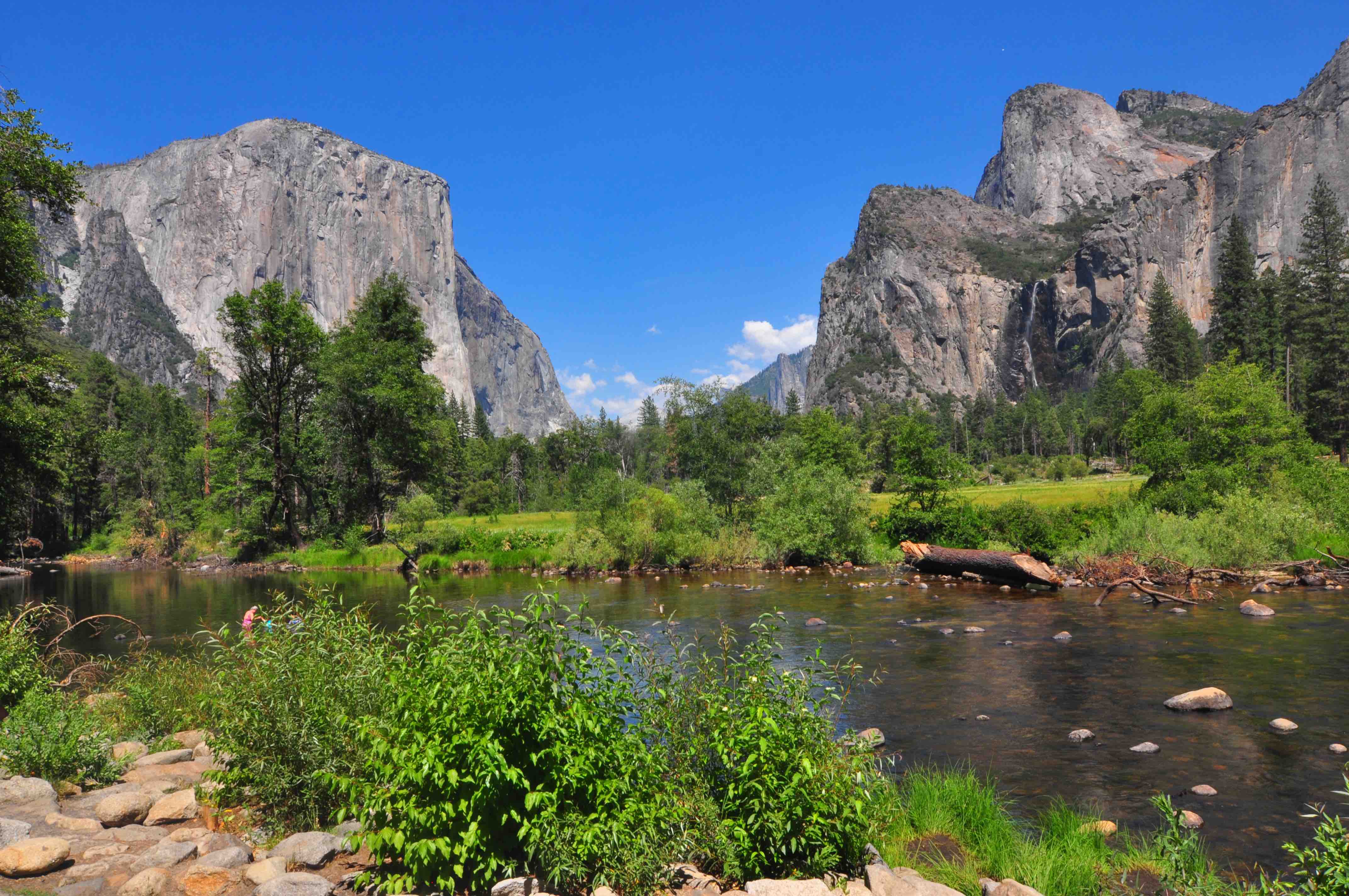 Yosemite Valley View