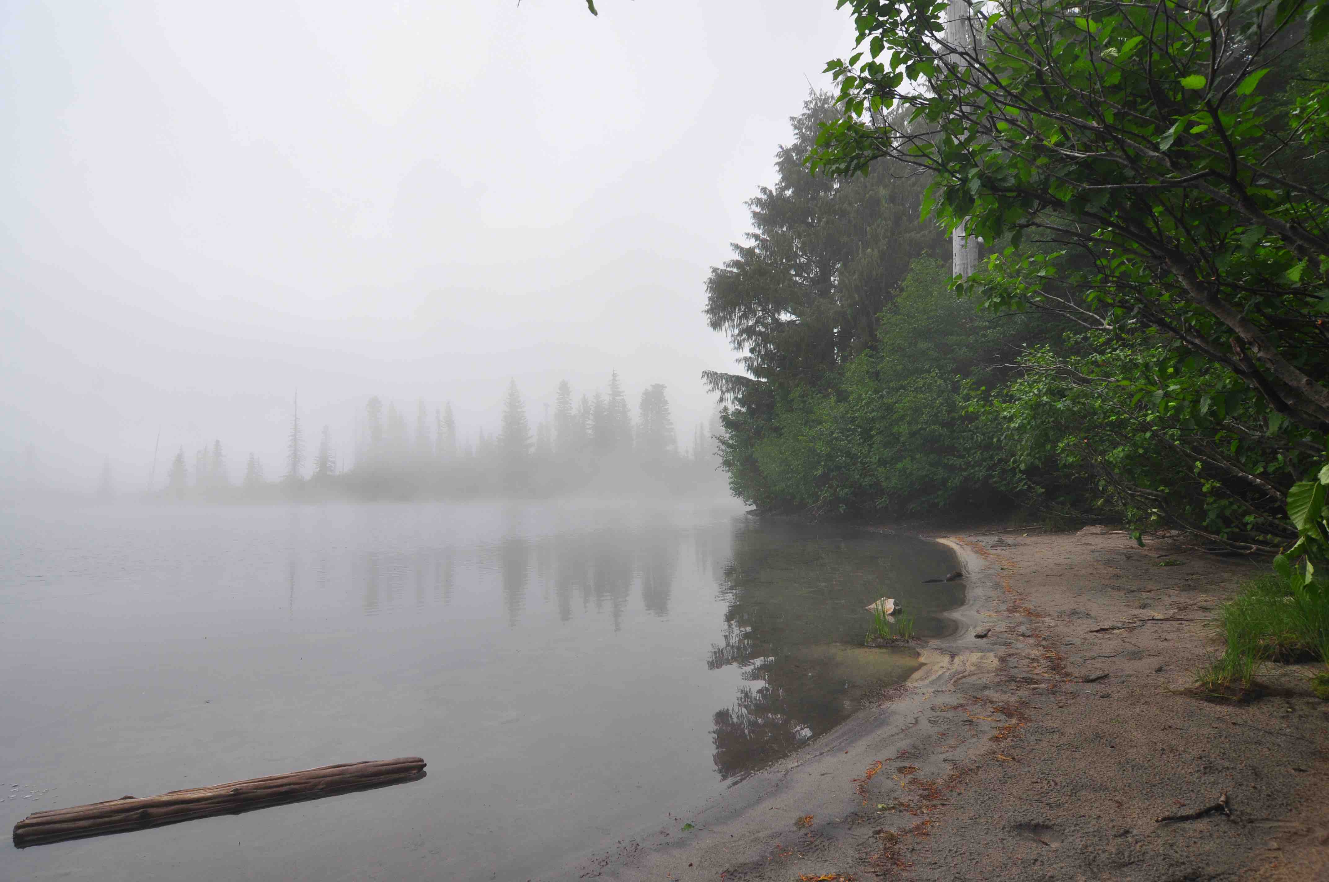 Bench and snow lake trail, Mt Rainier national park