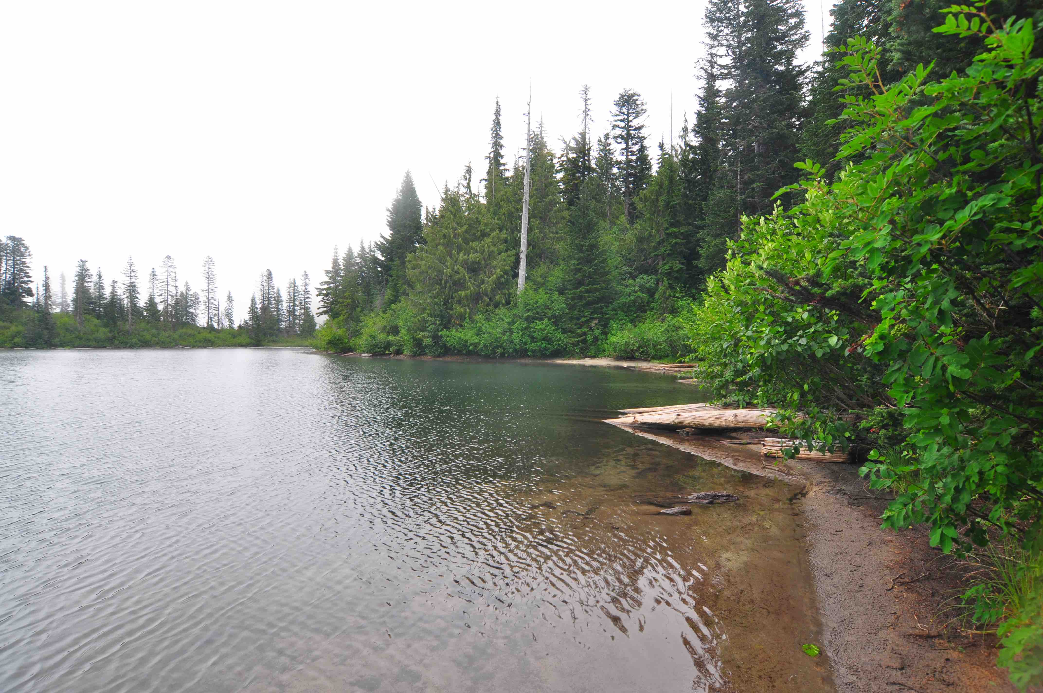 Bench and snow lake trail, Mt Rainier national park