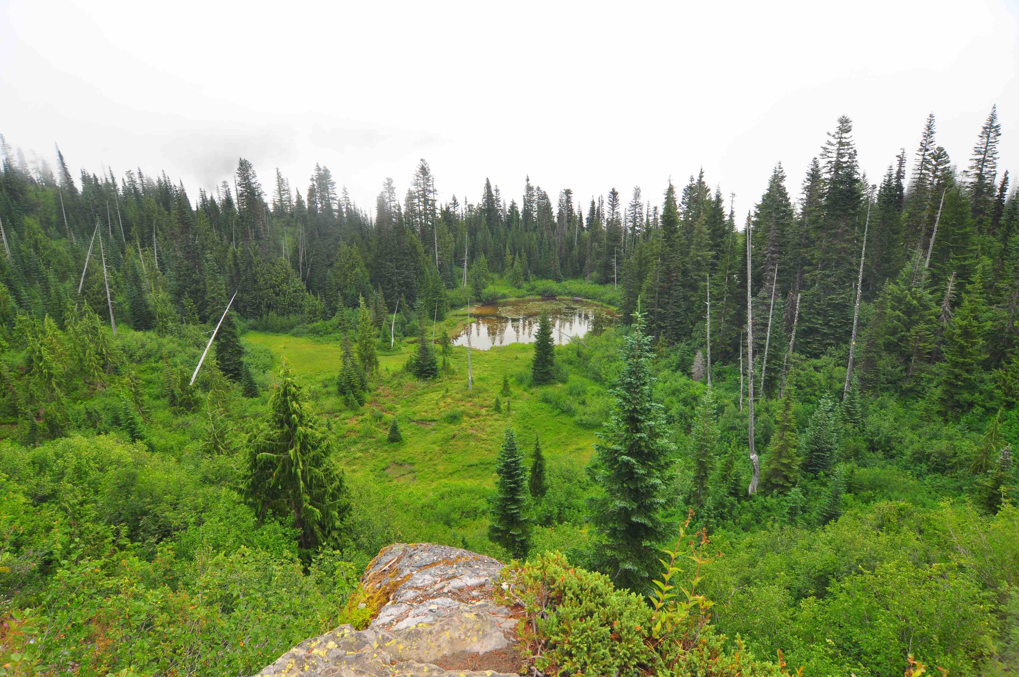 Bench and snow lake trail, Mt Rainier national park