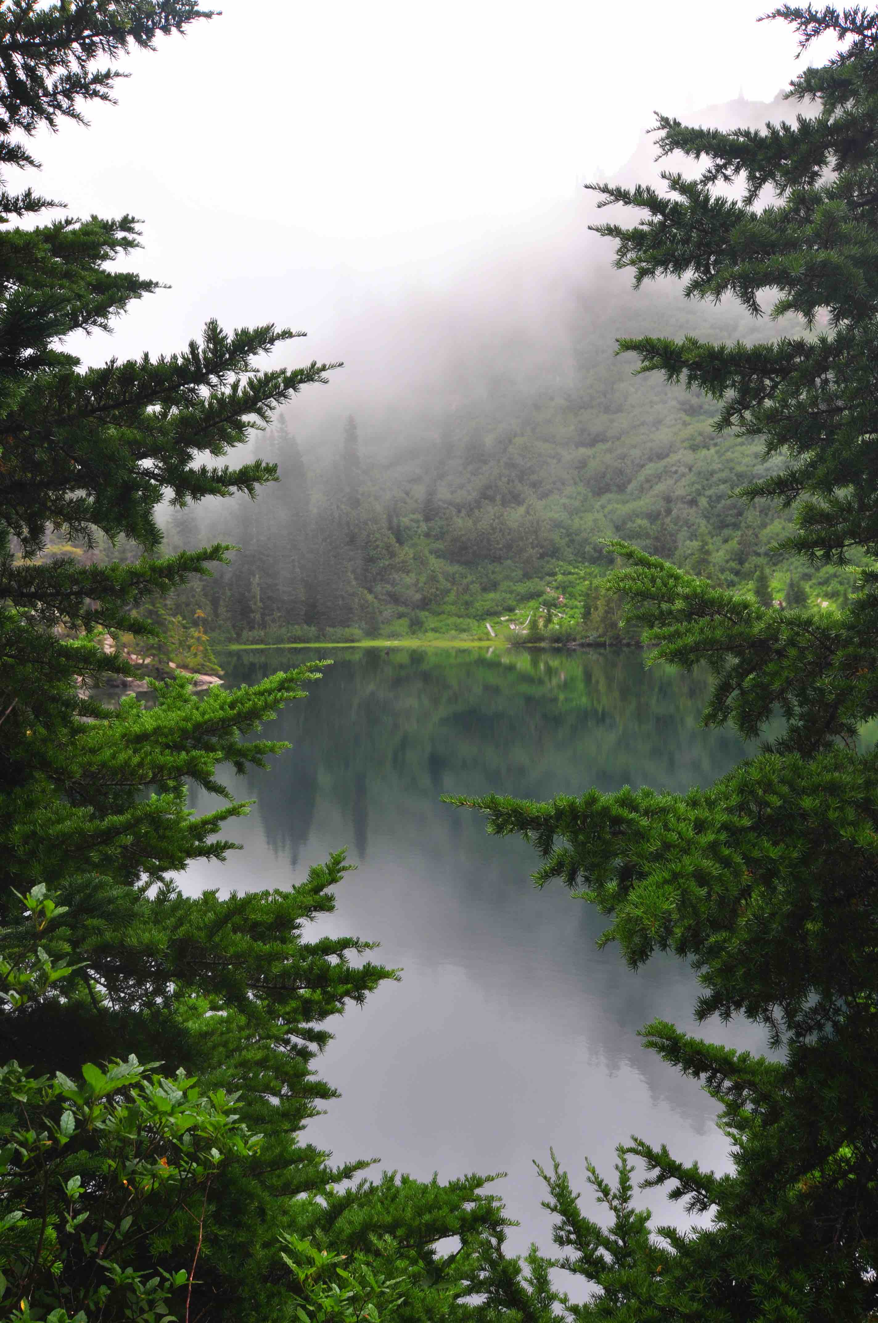 Bench and snow lakes trail, Mt Rainier national park