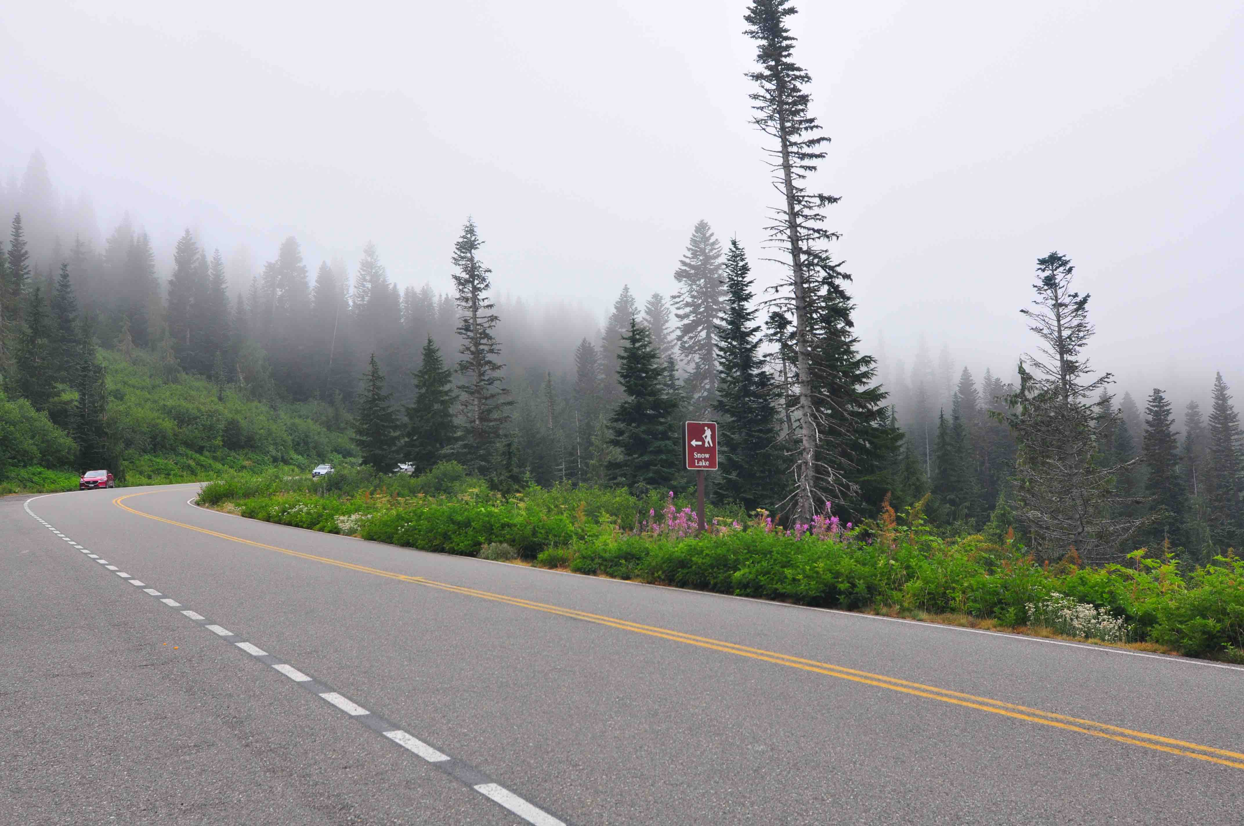 Bench and snow lake trail, Mt Rainier national park