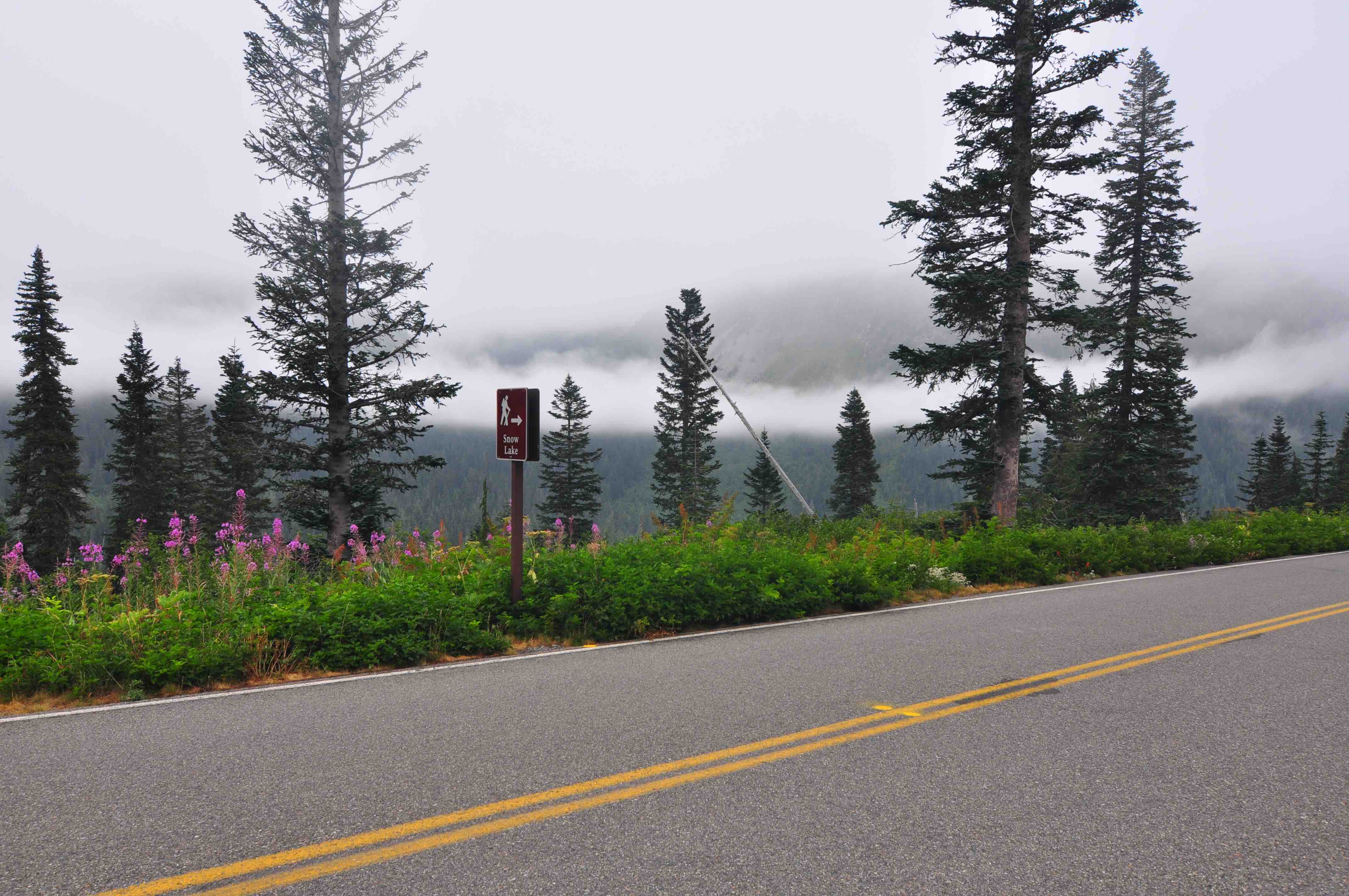 Bench and snow lake trail, Mt Rainier national park