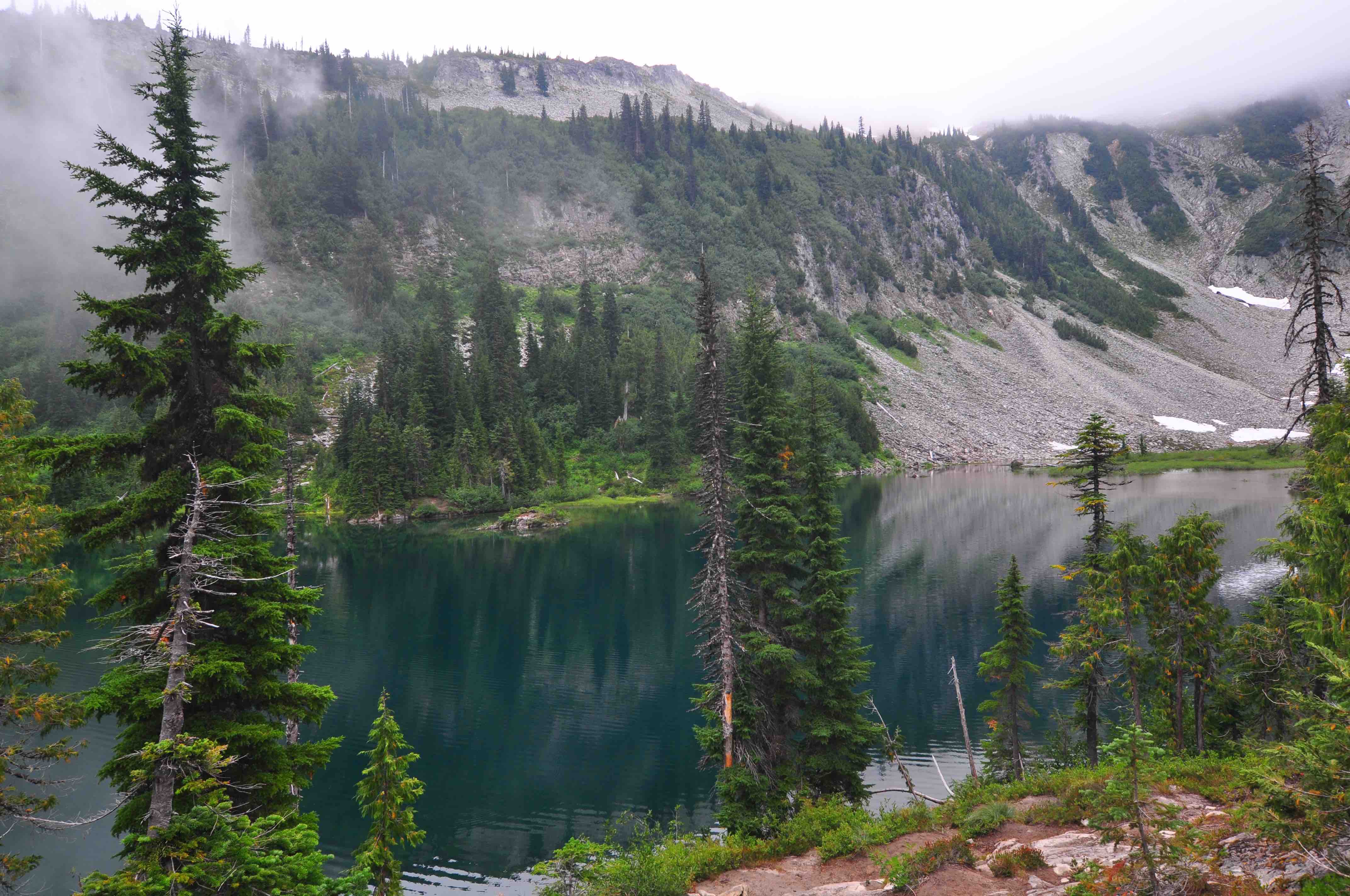 Bench and snow lake trail, Mt Rainier national park