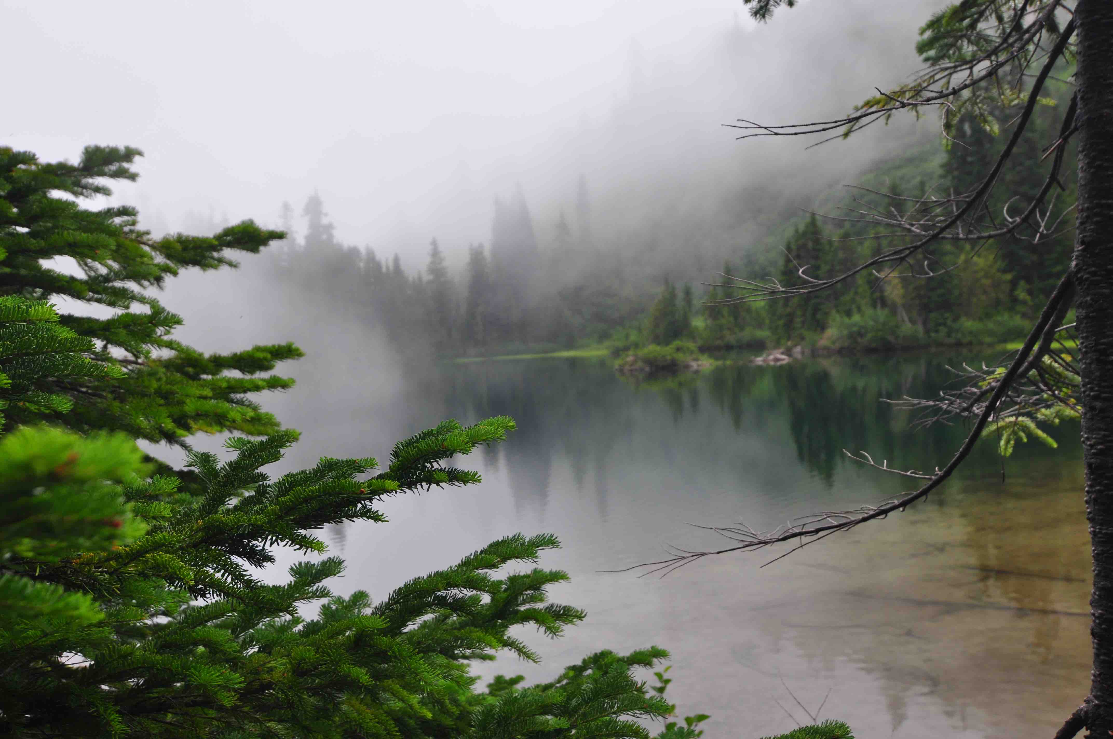 Bench and snow lake trail, Mt Rainier national park