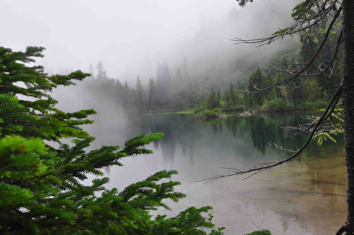 Bench and snow lake trail, Mt Rainier national park