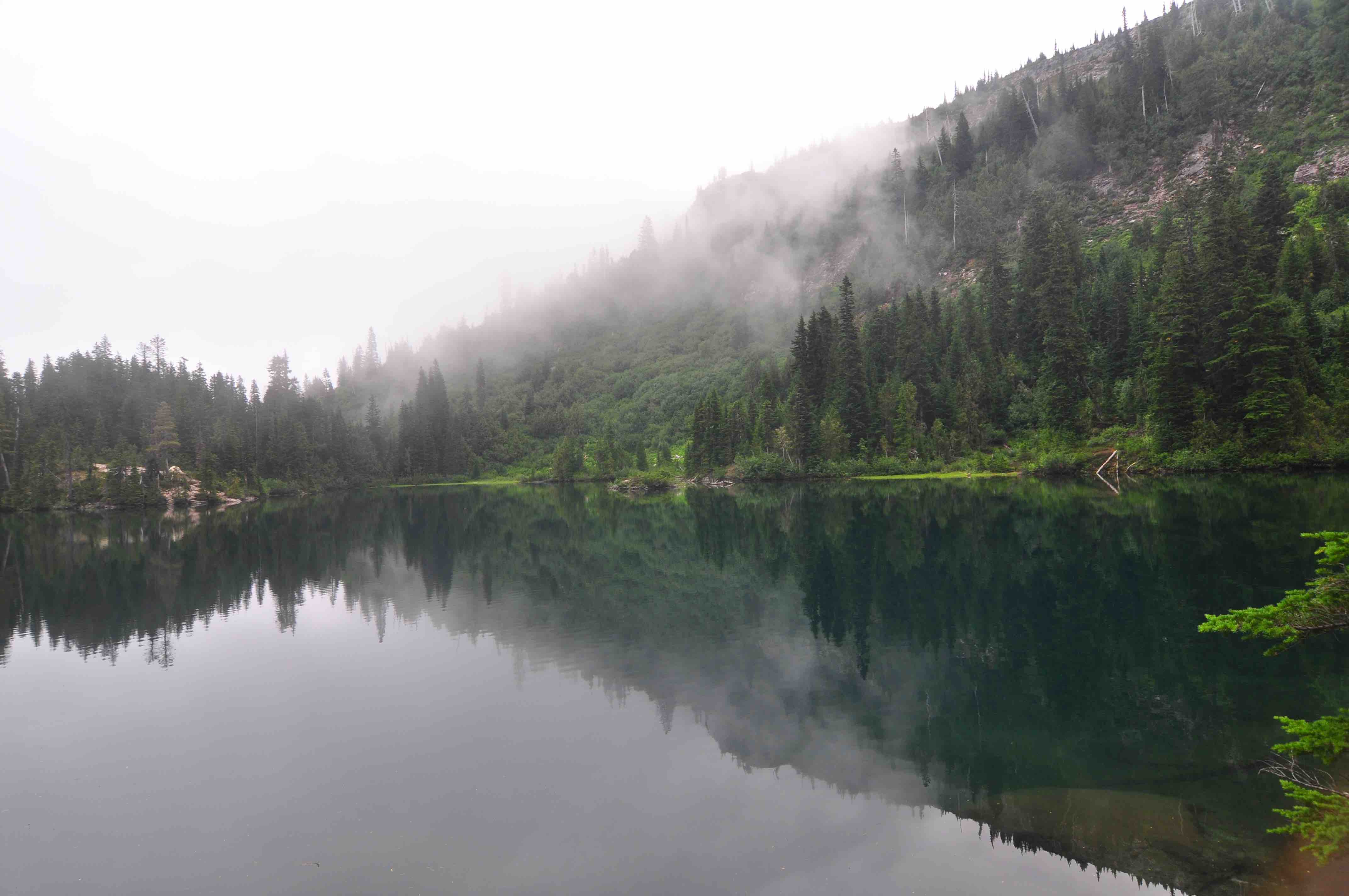 Bench and snow lake trail, Mt Rainier national park