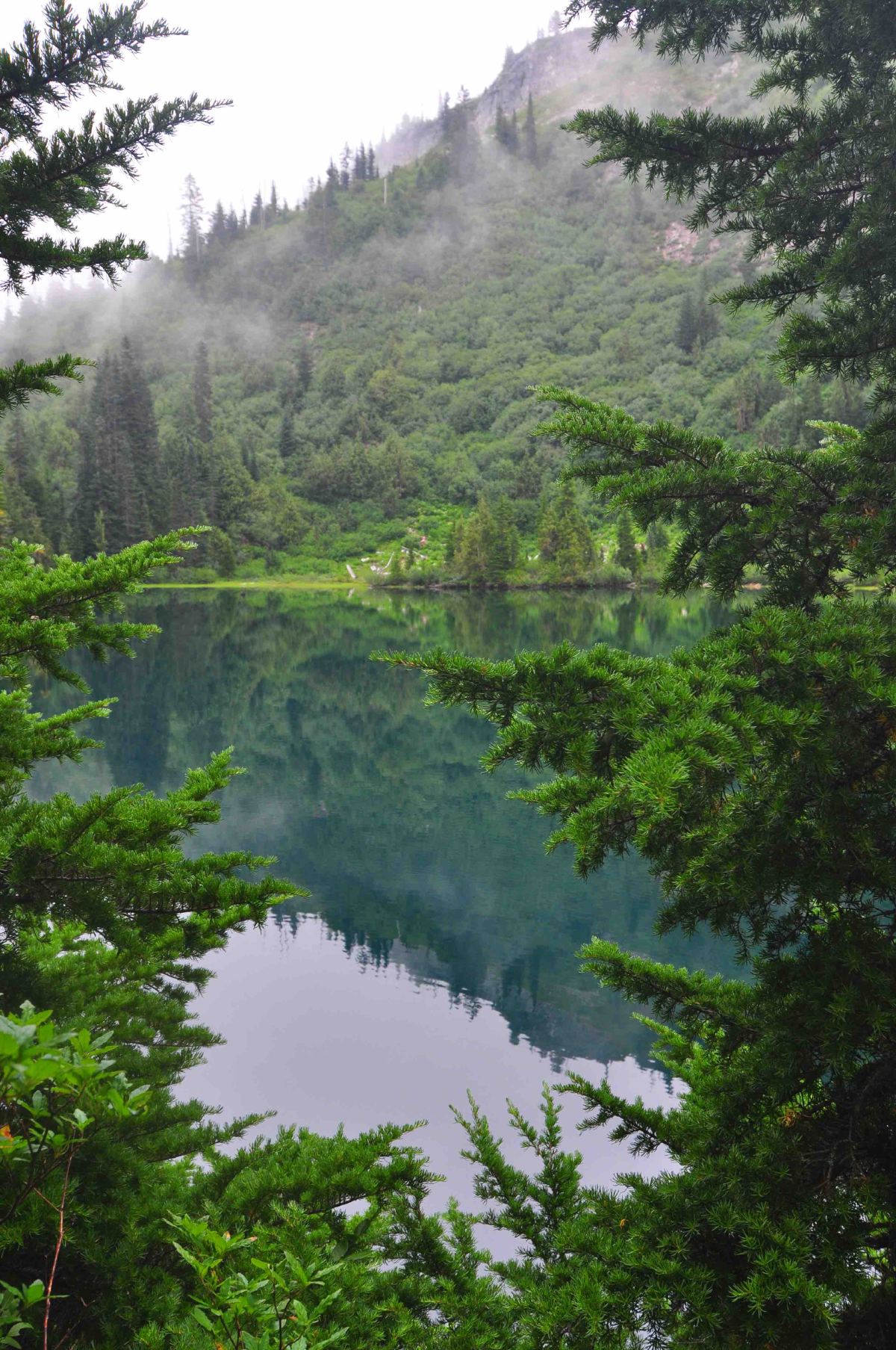 Bench and snow lake trail, Mt Rainier national park