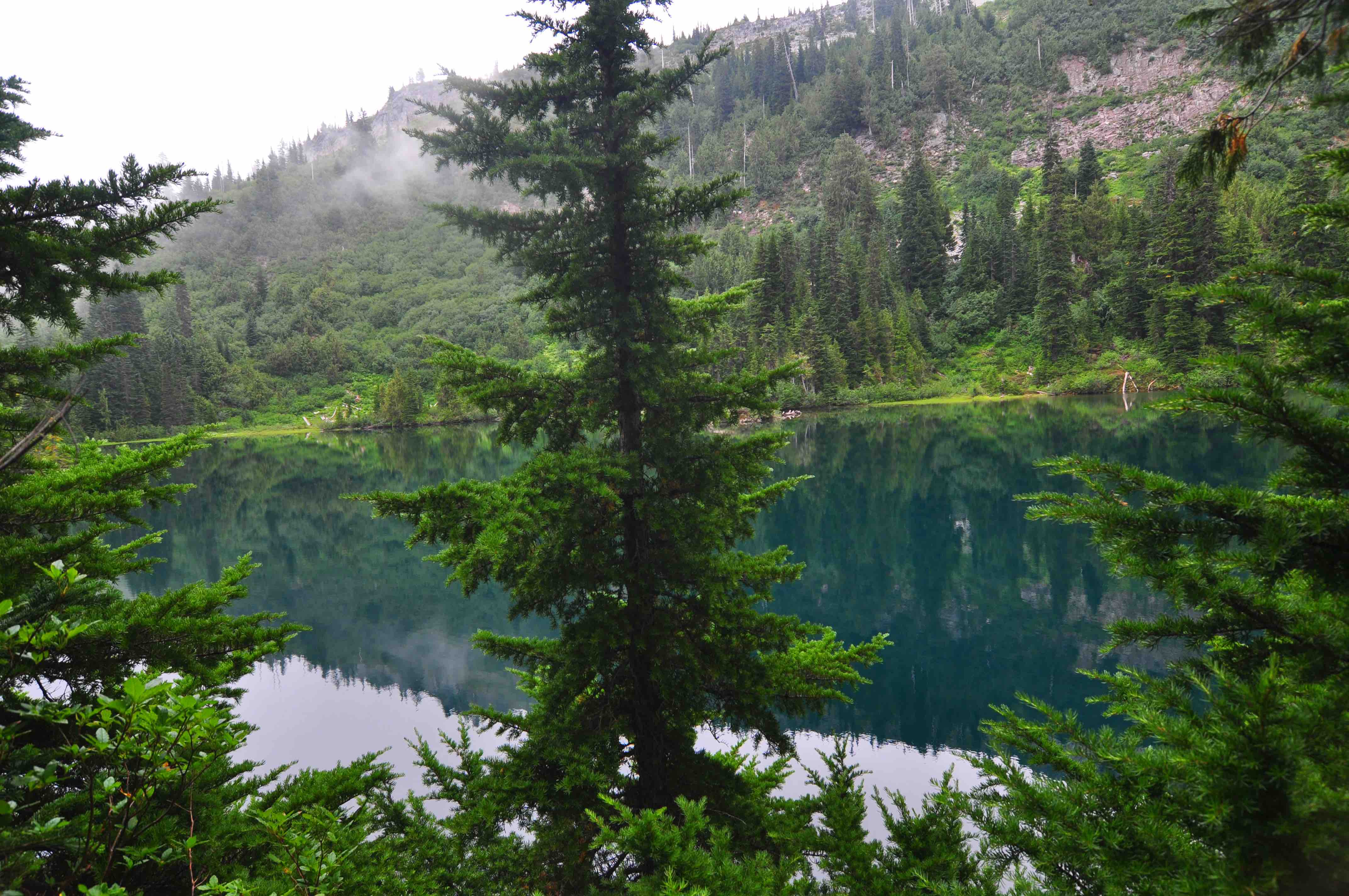 Bench and snow lake trail, Mt Rainier national park