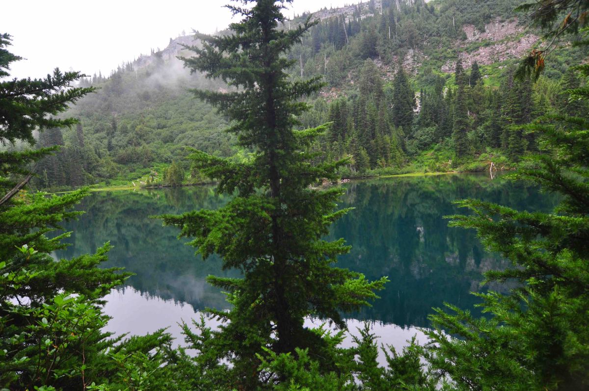 Bench and snow lake trail, Mt Rainier national park