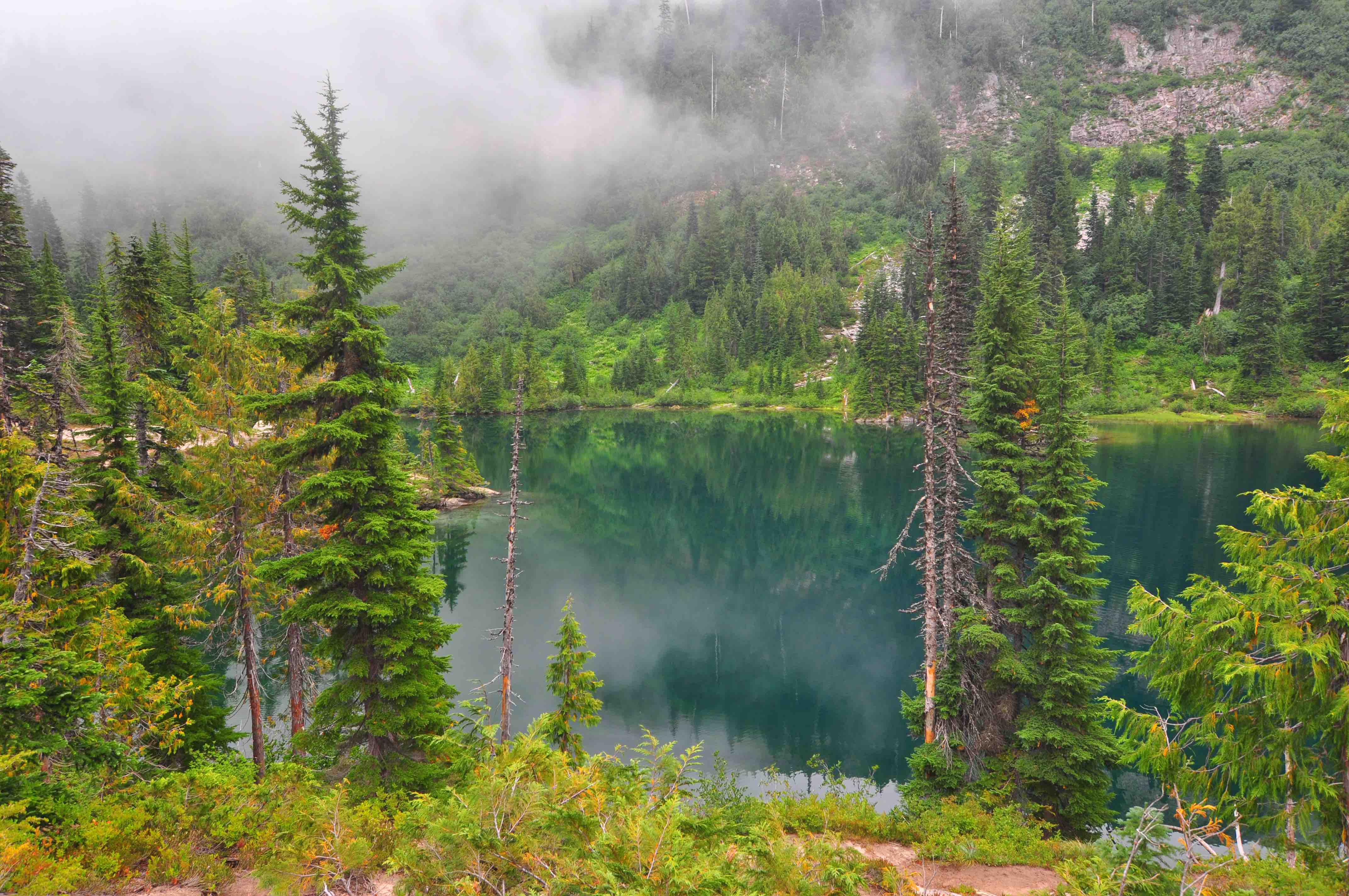 Bench and snow lake trail, Mt Rainier national park