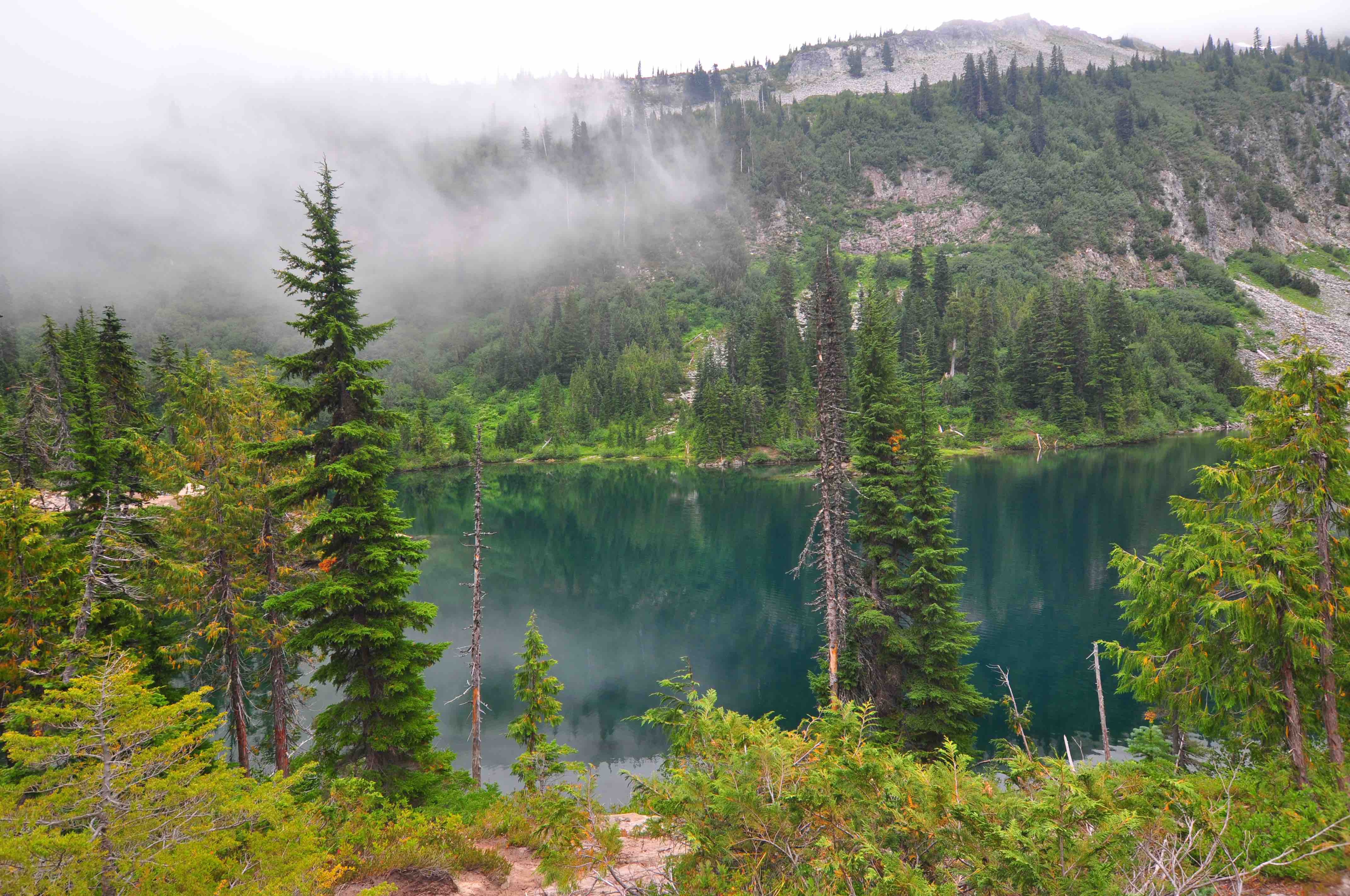 Bench and snow lake trail, Mt Rainier national park