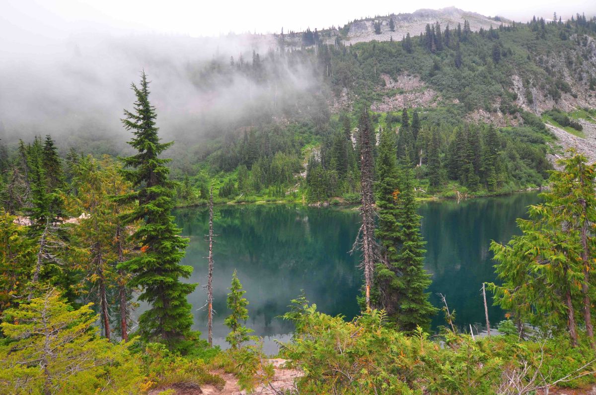 Bench and snow lake trail, Mt Rainier national park