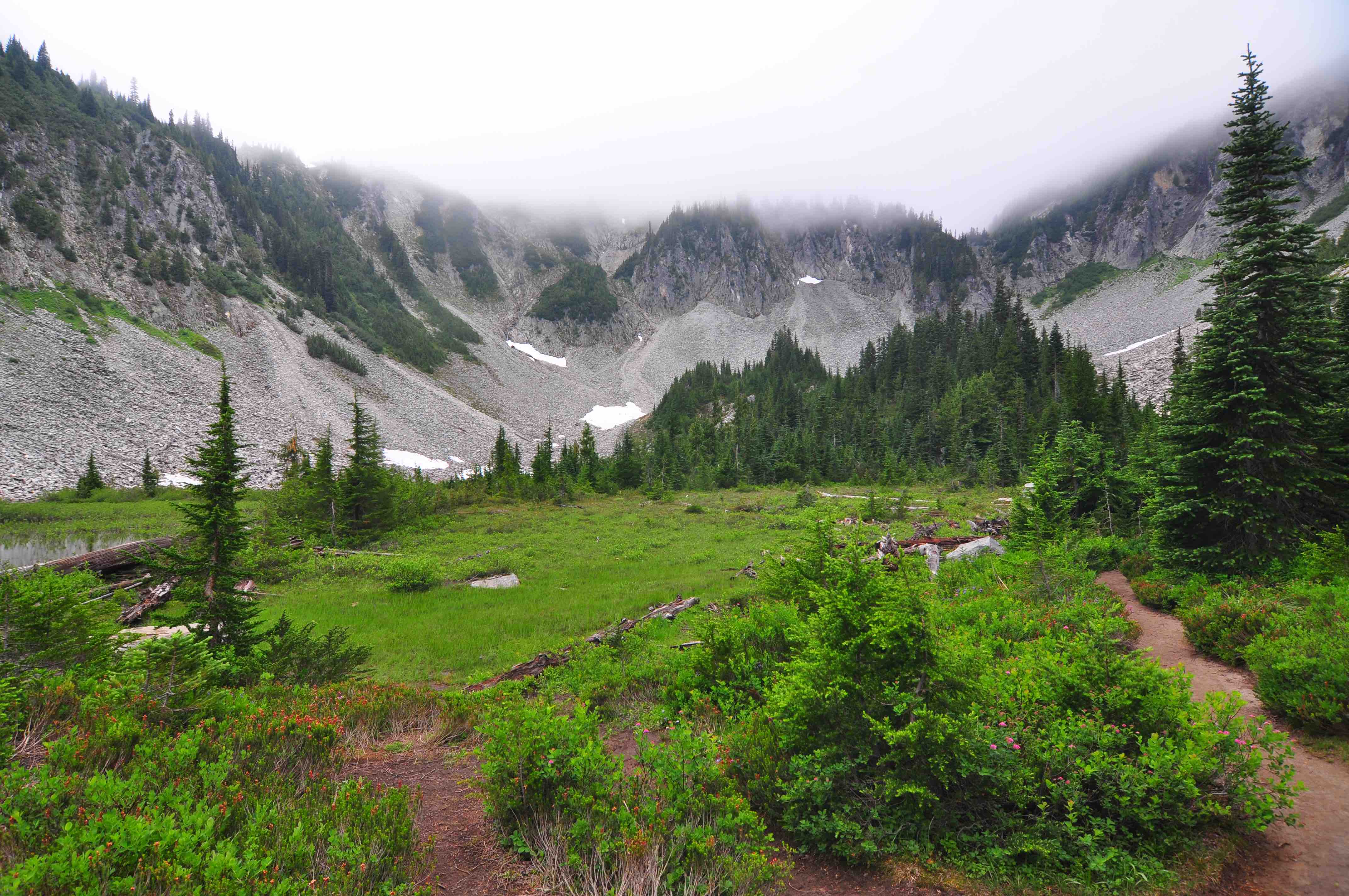 Bench and snow lake trail, Mt Rainier national park